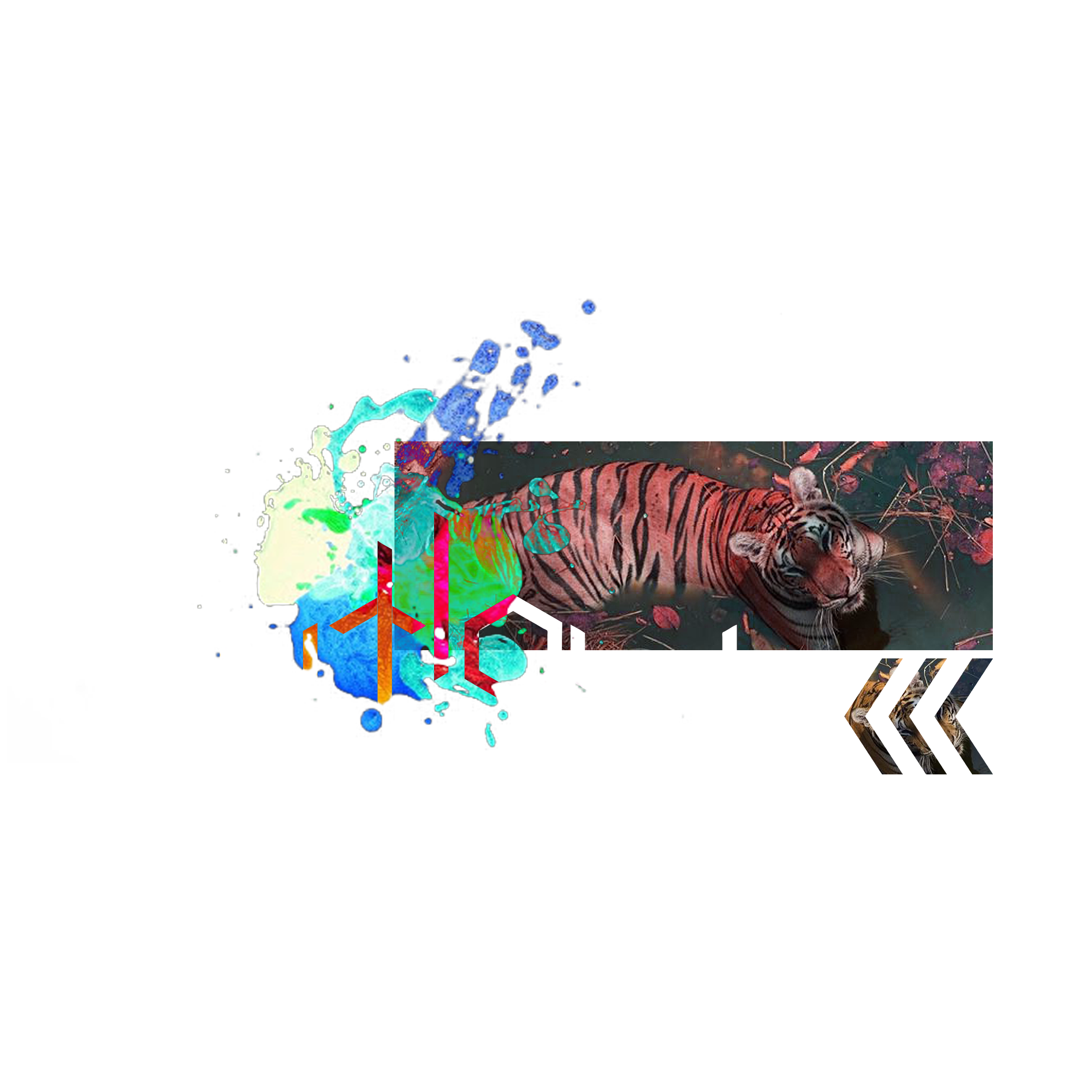 006.png