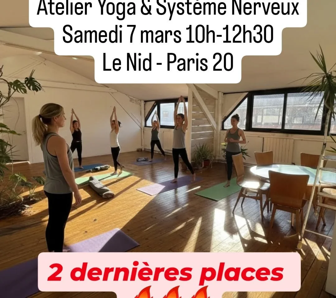 🤯 Focus sur le Syst&egrave;me Nerveux Autonome 🤯

Bien avant les progr&egrave;s de la science moderne et la compr&eacute;hension biologique de notre syst&egrave;me nerveux autonome, les yogis avaient d&eacute;velopp&eacute; une science empirique de