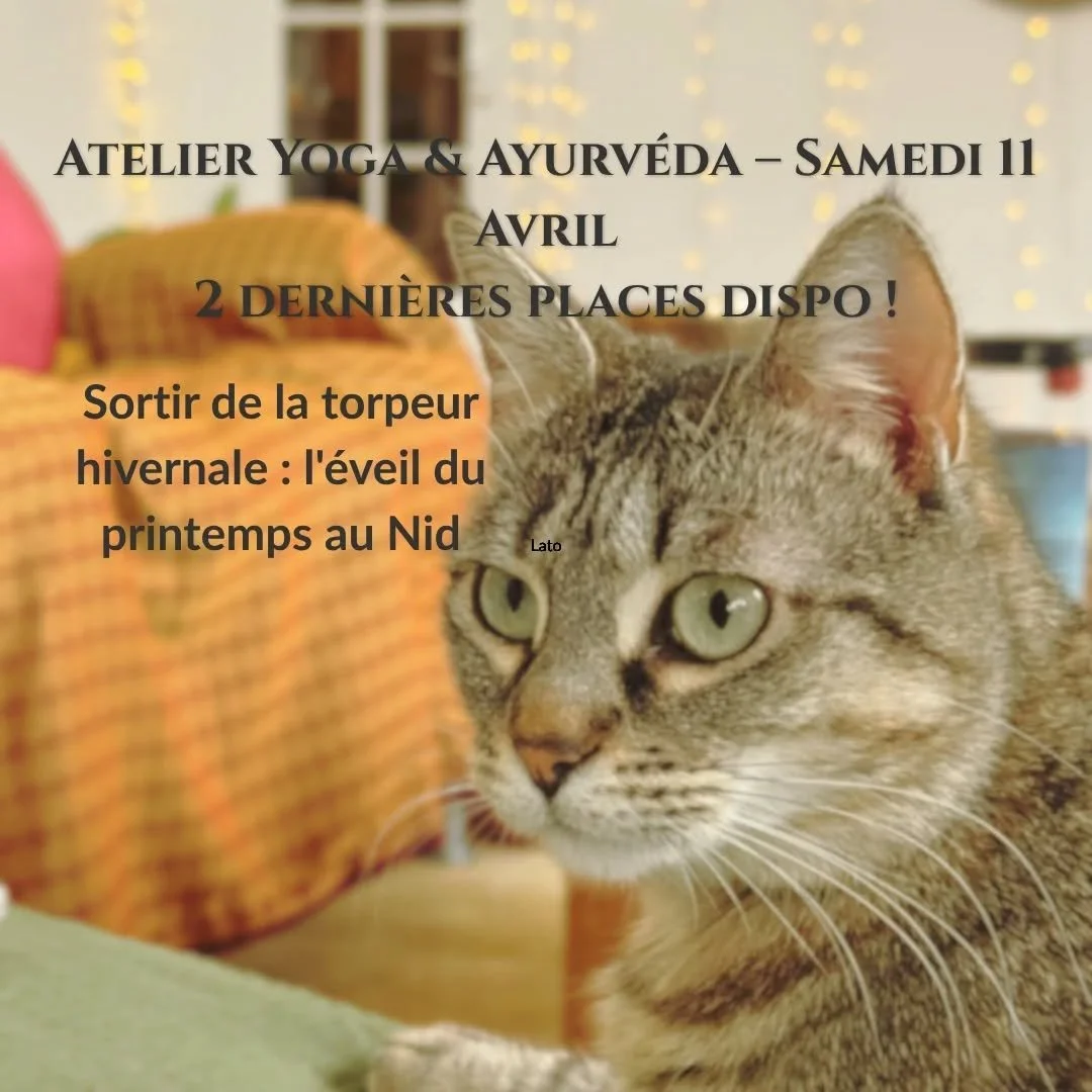 🌿 Le corps sait quand les saisons changent, m&ecirc;me si l&rsquo;esprit cherche encore ses marques 🌿

Le passage de l&rsquo;hiver au printemps est une transition d&eacute;licate. 
Selon la sagesse de l&rsquo;Ayurv&eacute;da, c&rsquo;est le moment 