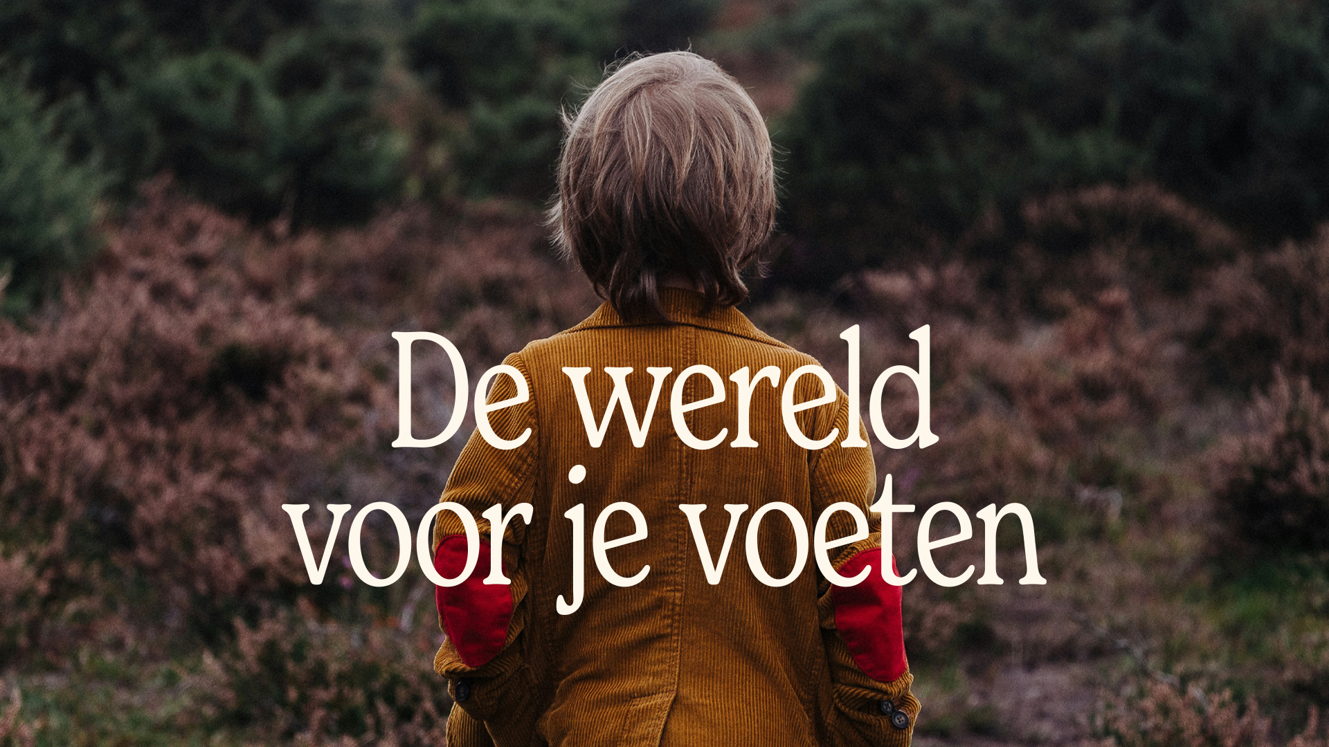 Copy voor Atelier de Noest