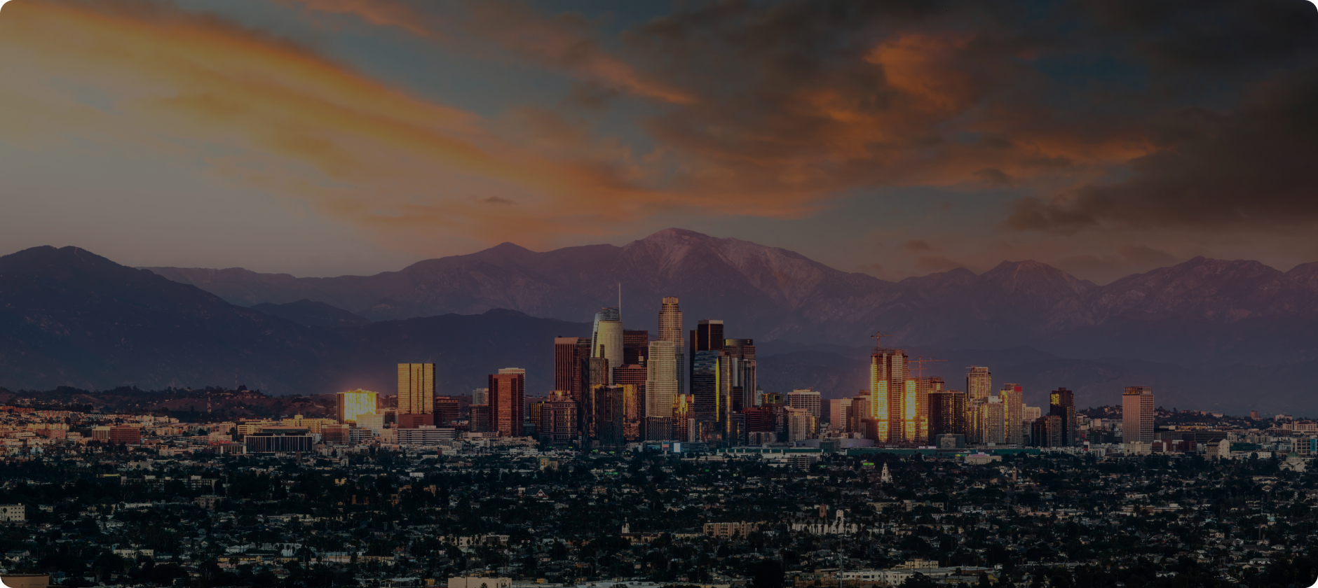banner.png