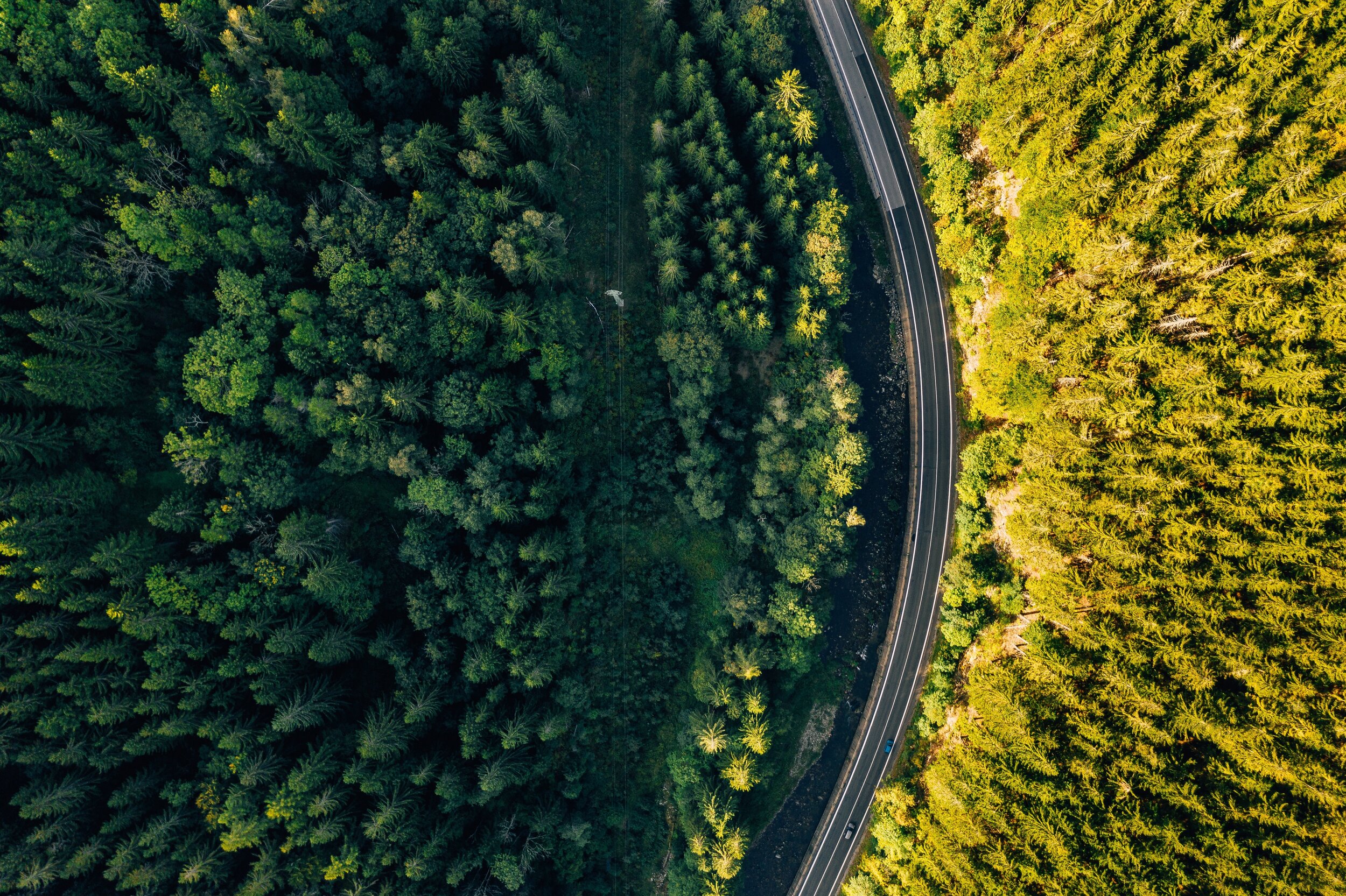 road-4564817.jpg