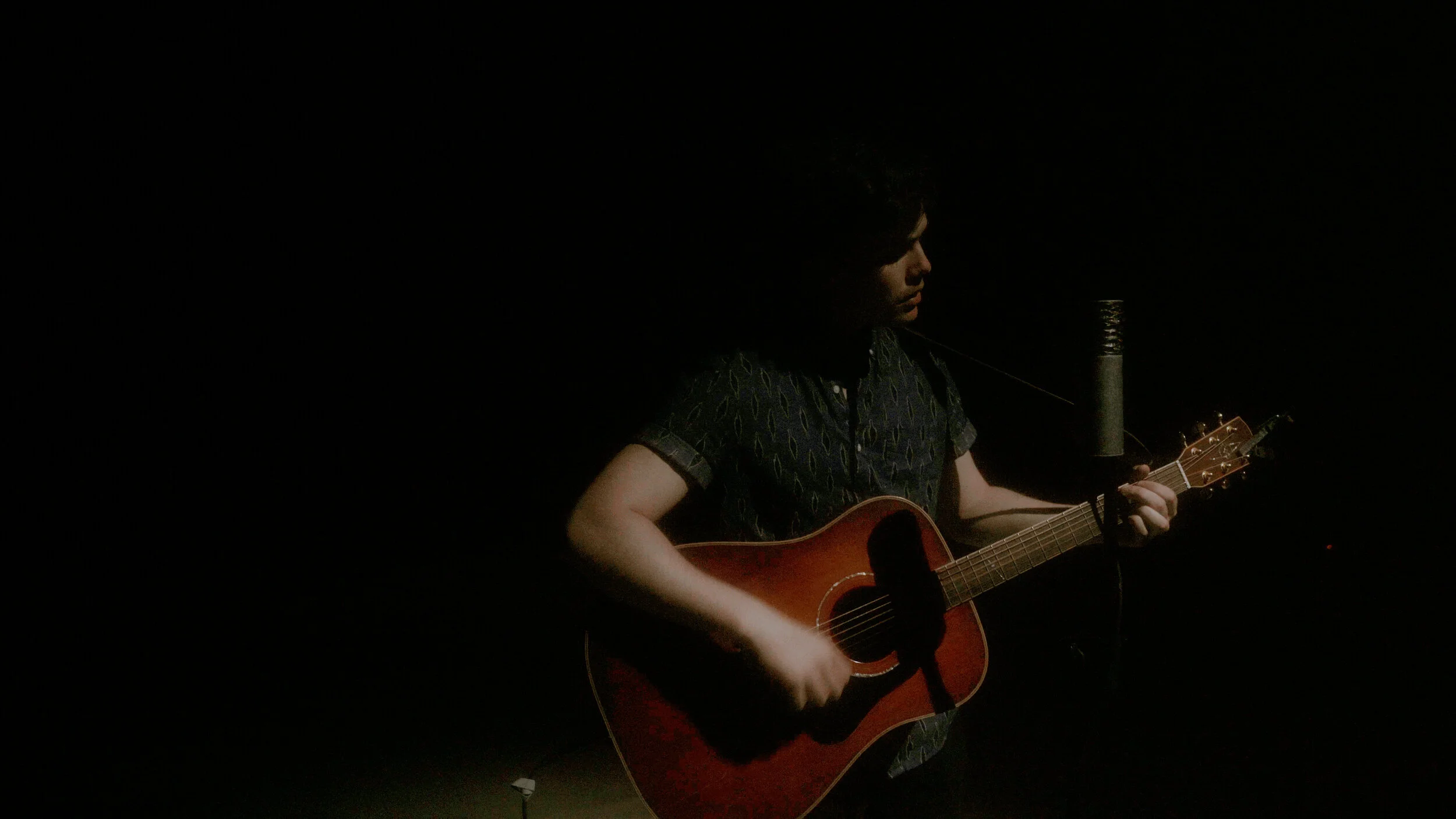 WILL PELLRIN ACOUSTIC