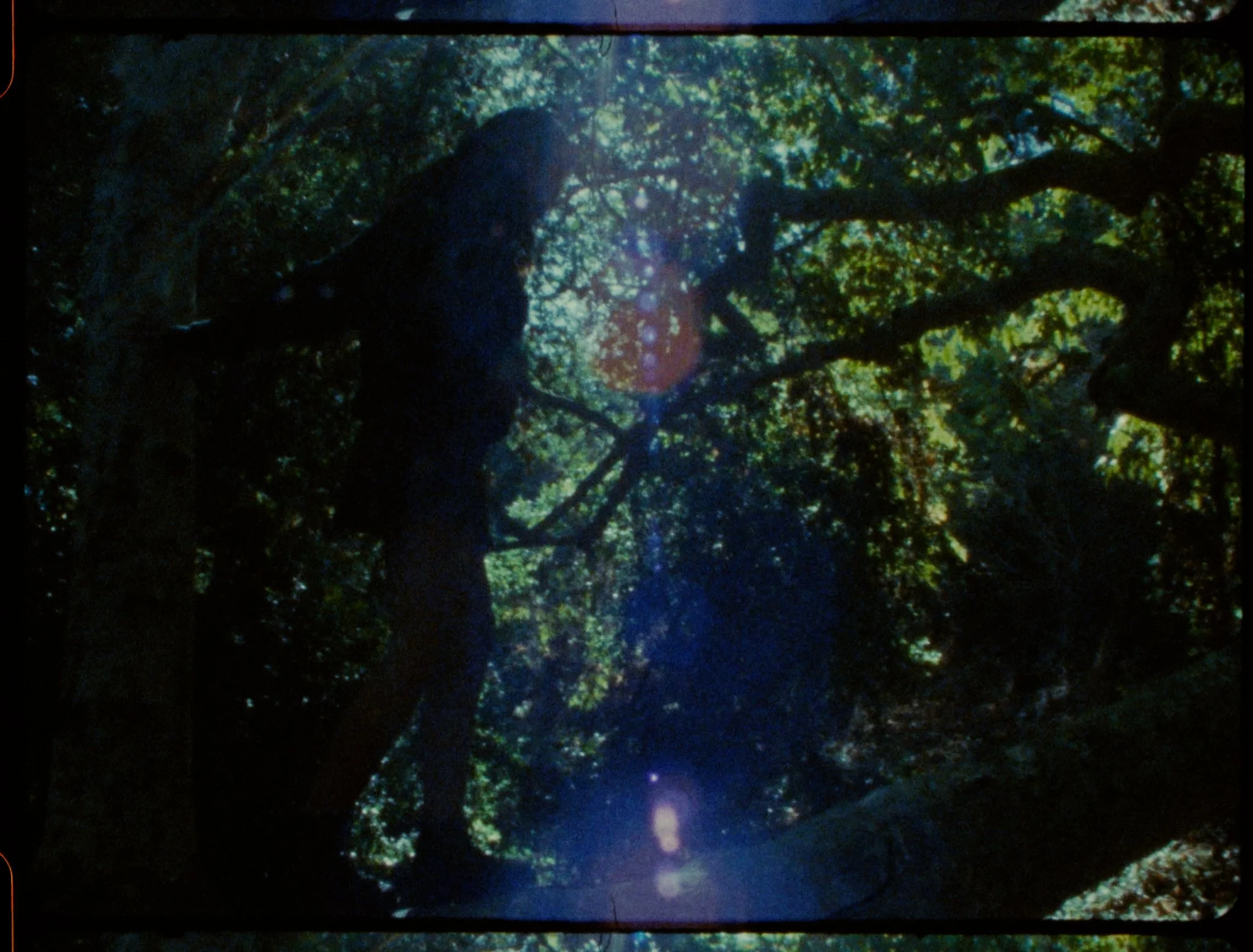 edit.00_01_20_00.still093.JPG