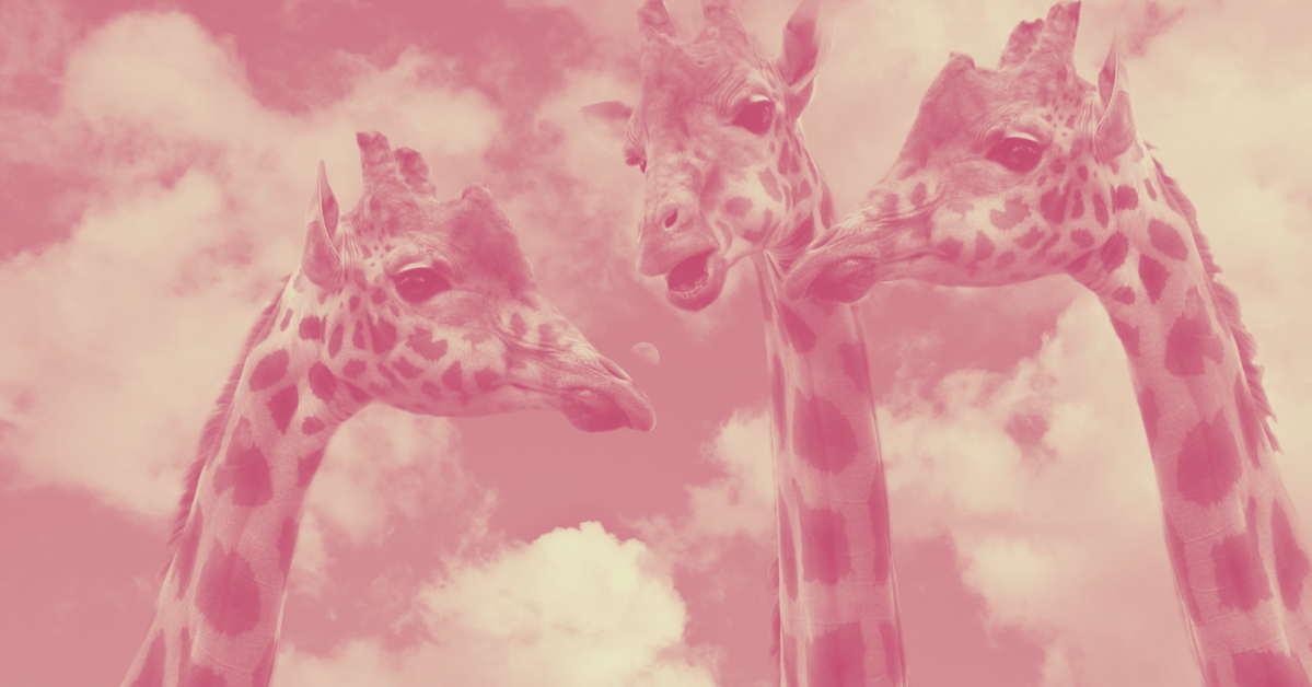 Three pink-tinted cartoon-style giraffes looking at each other against a pink sky with clouds.