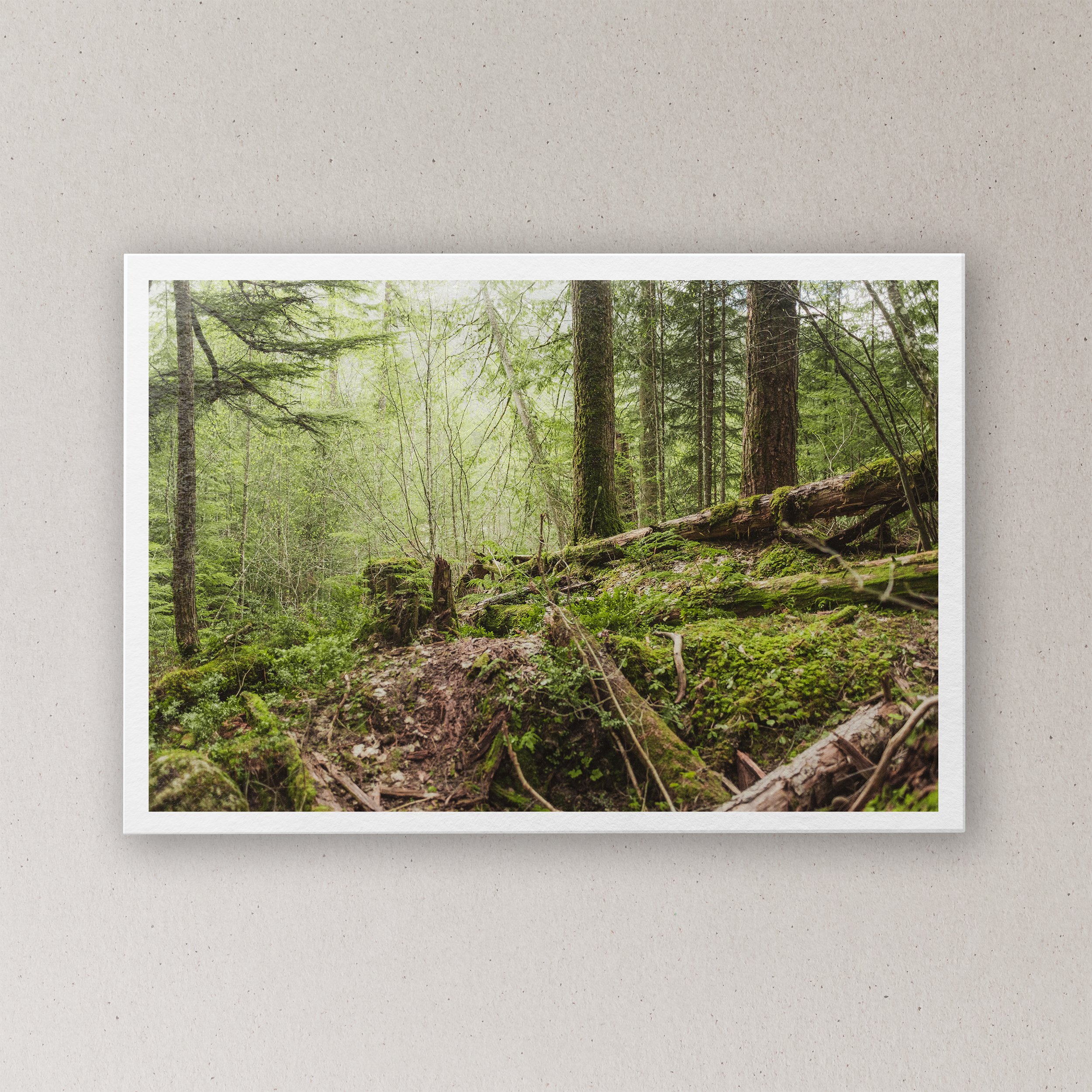 Small Paper Print Mockup.jpg