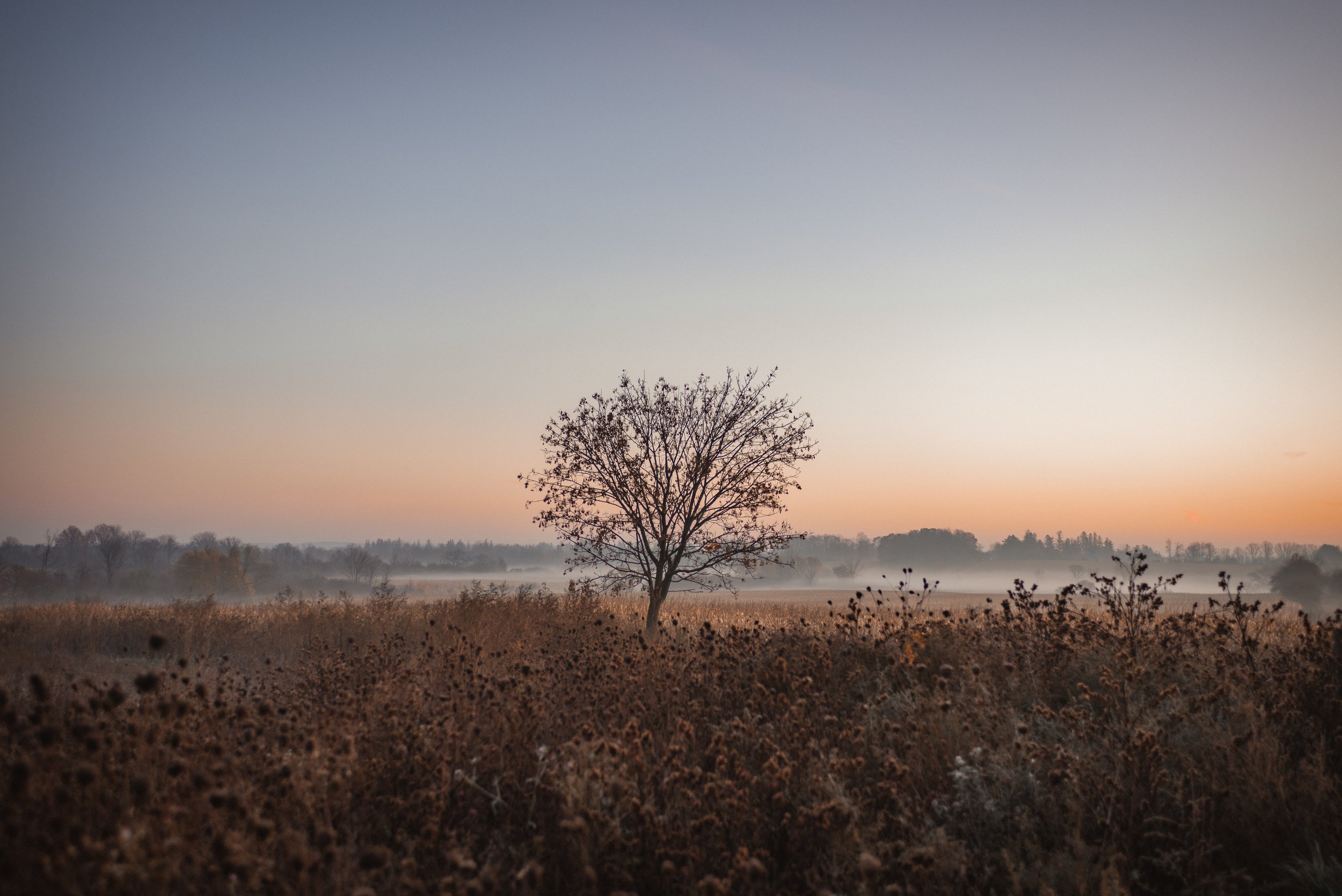 _DSC9168.jpg