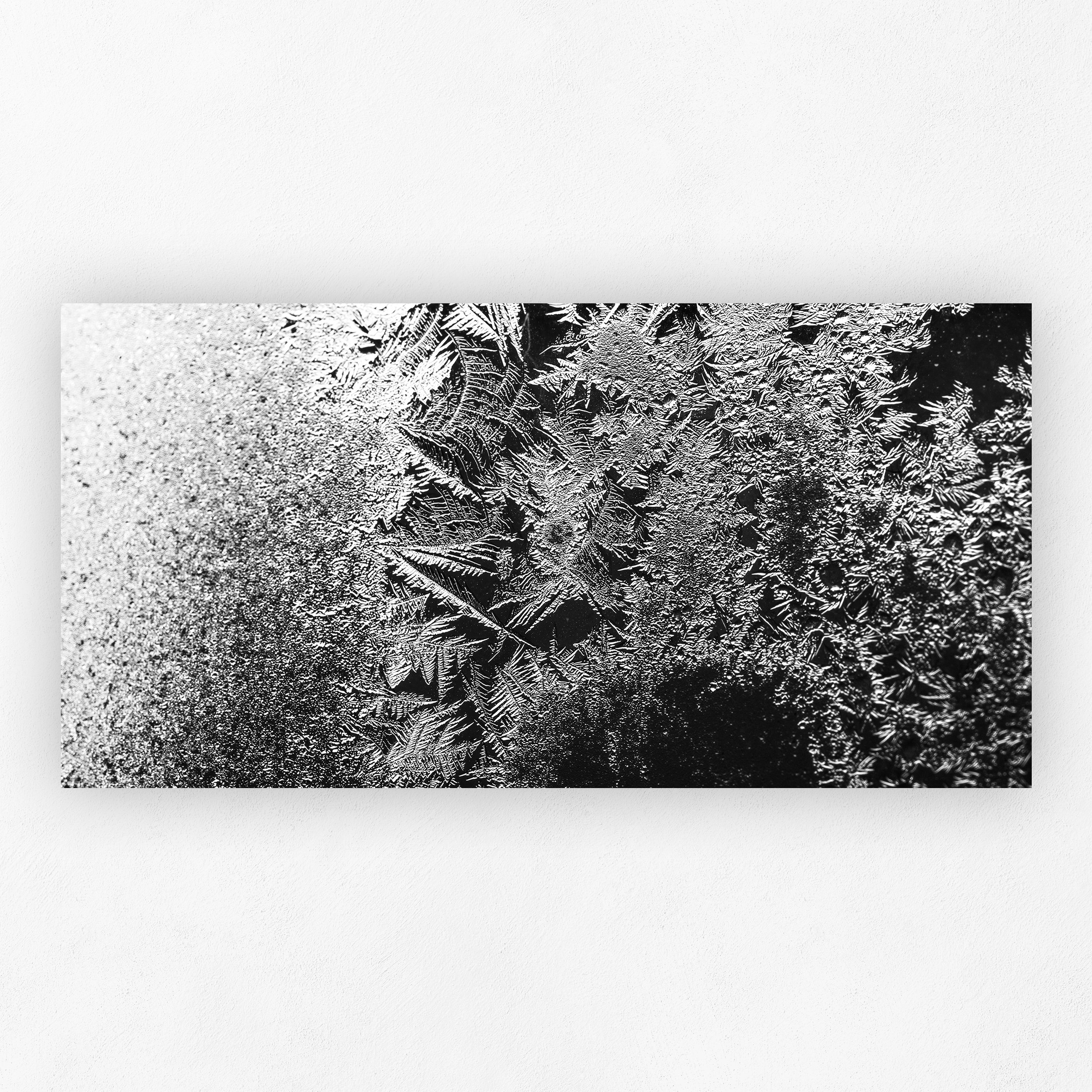 Frost Study III_Shadow.jpg