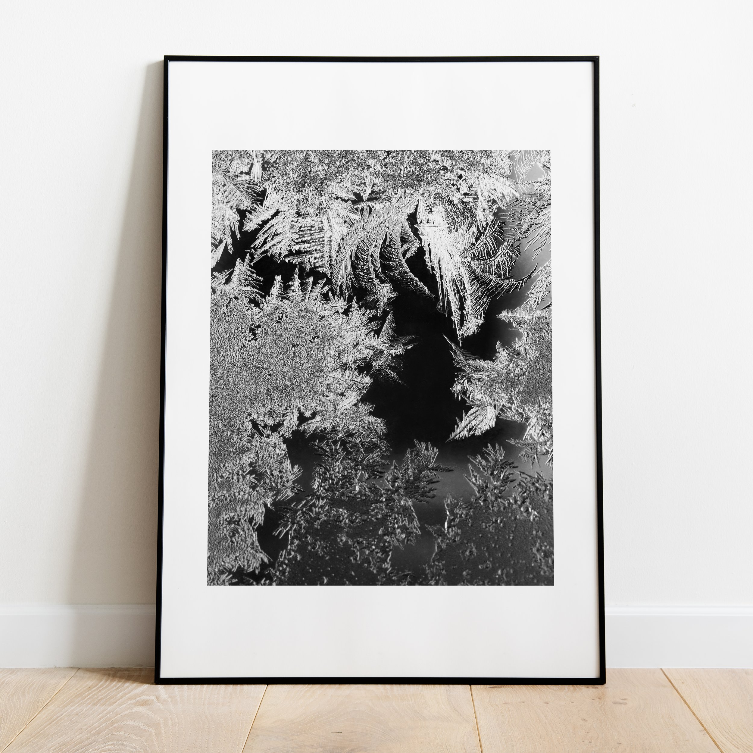 Frost Study II_Frame_2.jpg
