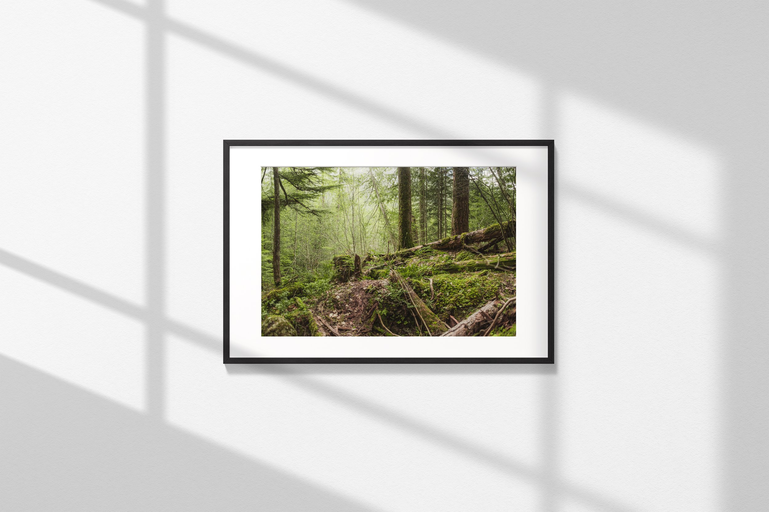 Frame_2x3_Horizontal.jpg