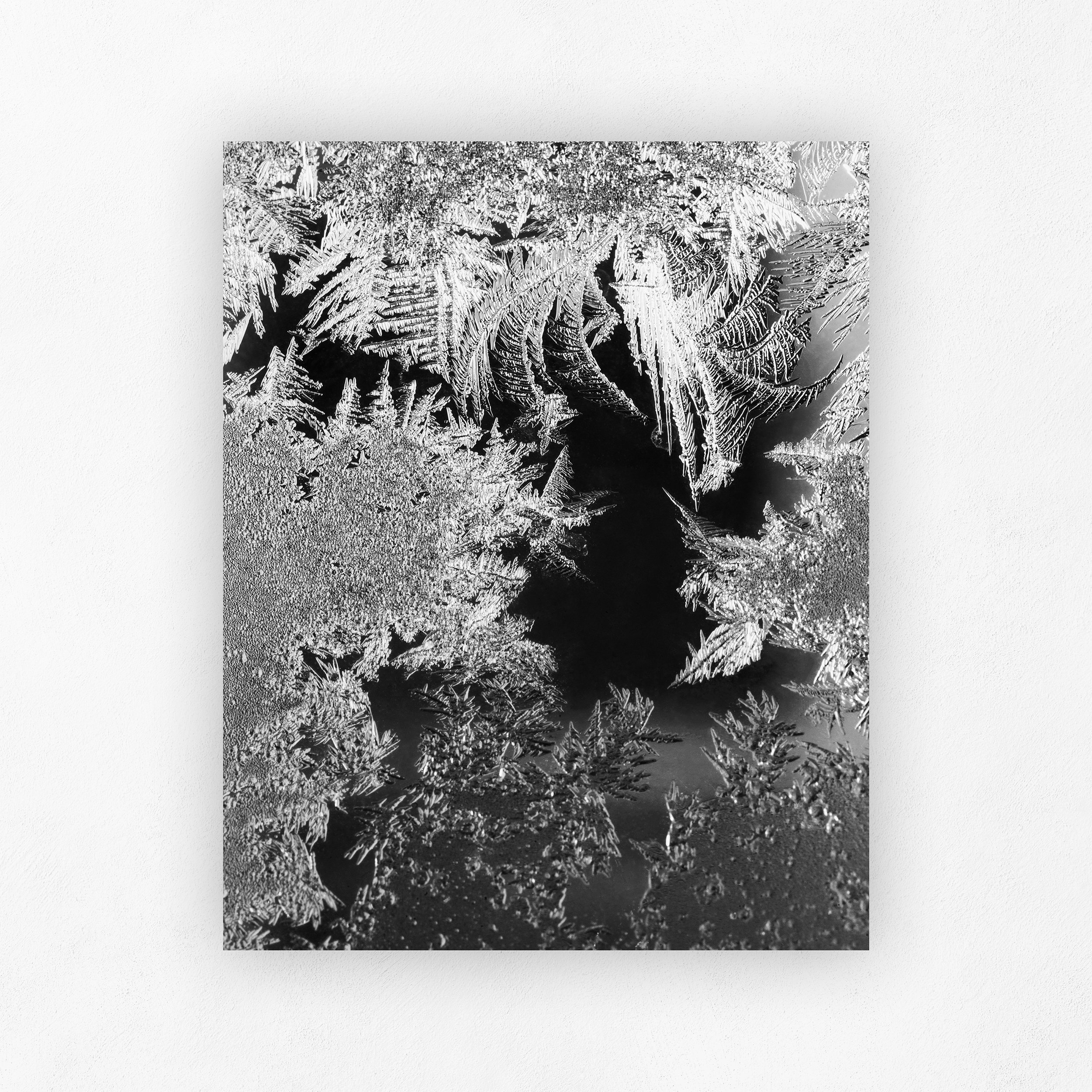Frost Study II_Shadow.jpg