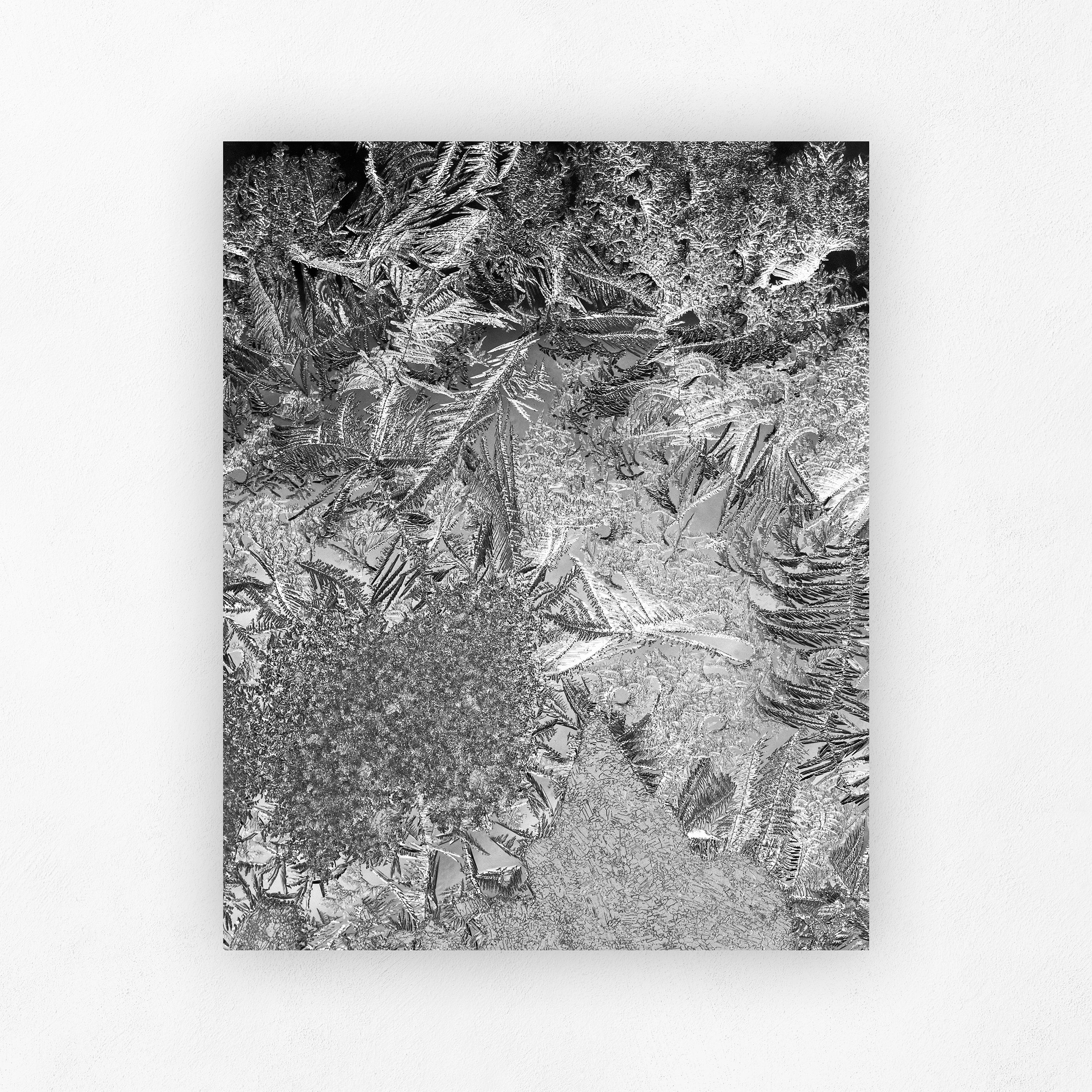 Featured_Shadow_4x5.jpg