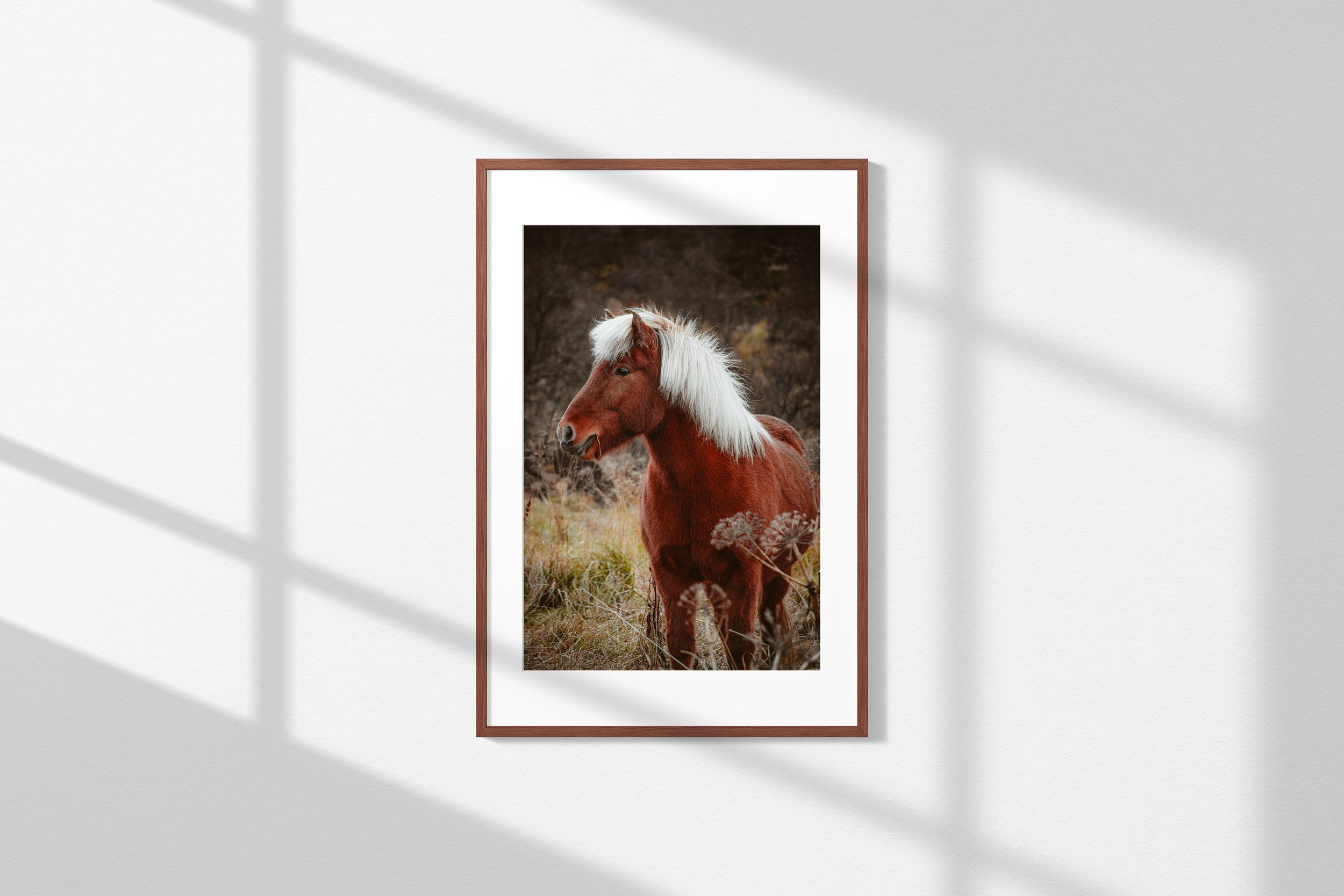 Frame_2x3.jpg