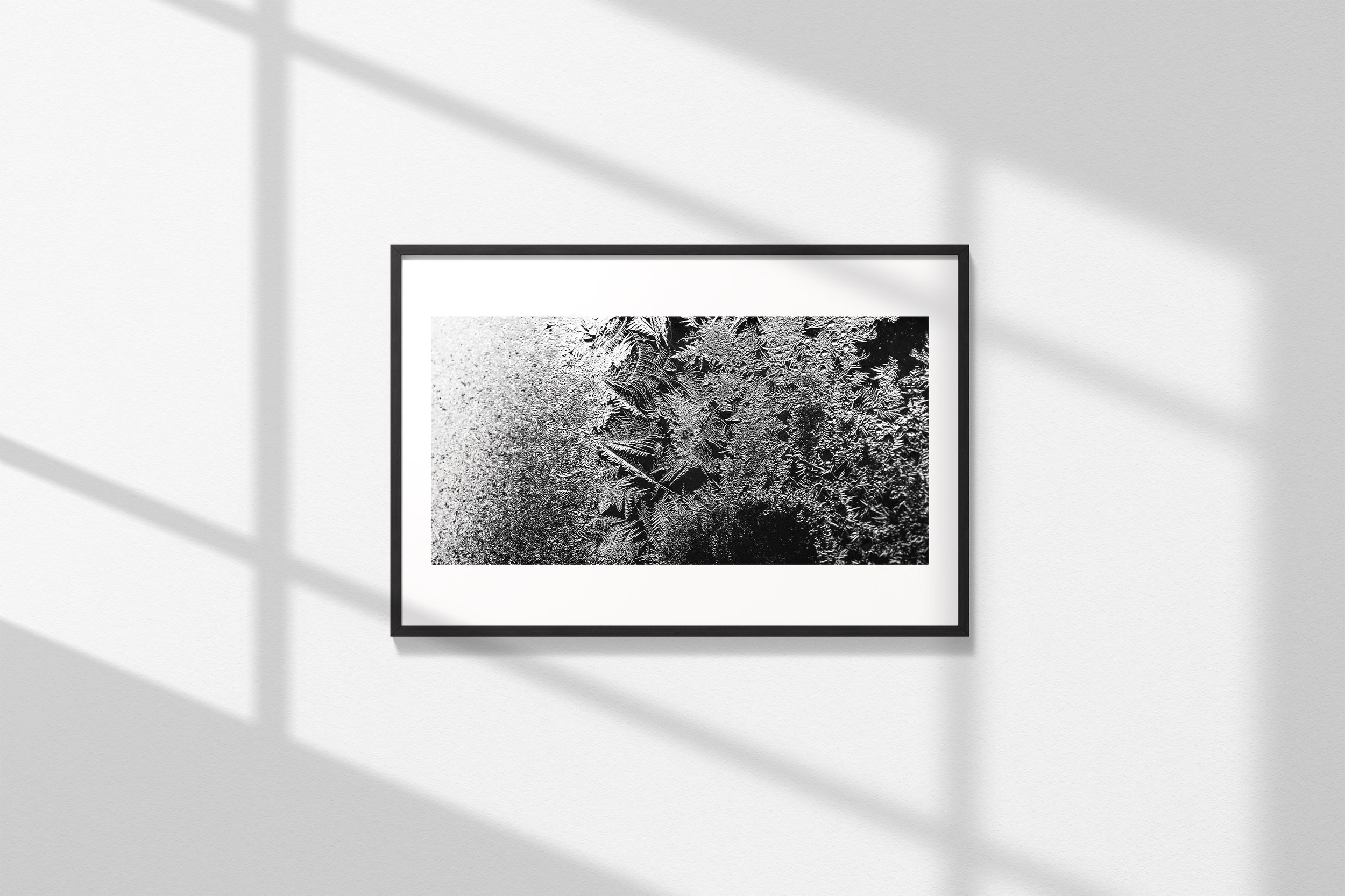 Frost Study III_Frame.jpg