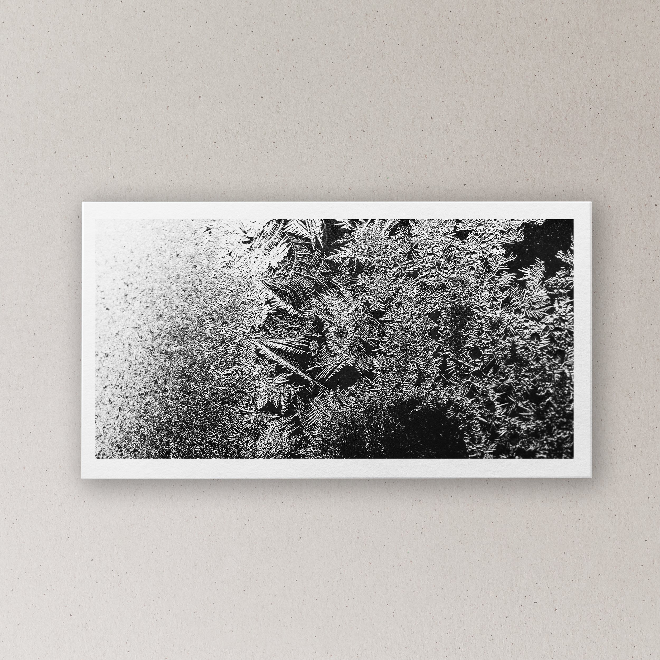 Frost Study III_Paper.jpg