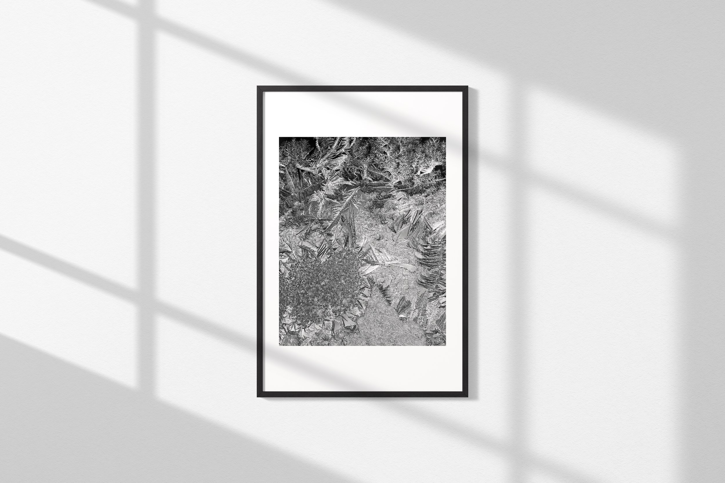 Frame_2x3.jpg