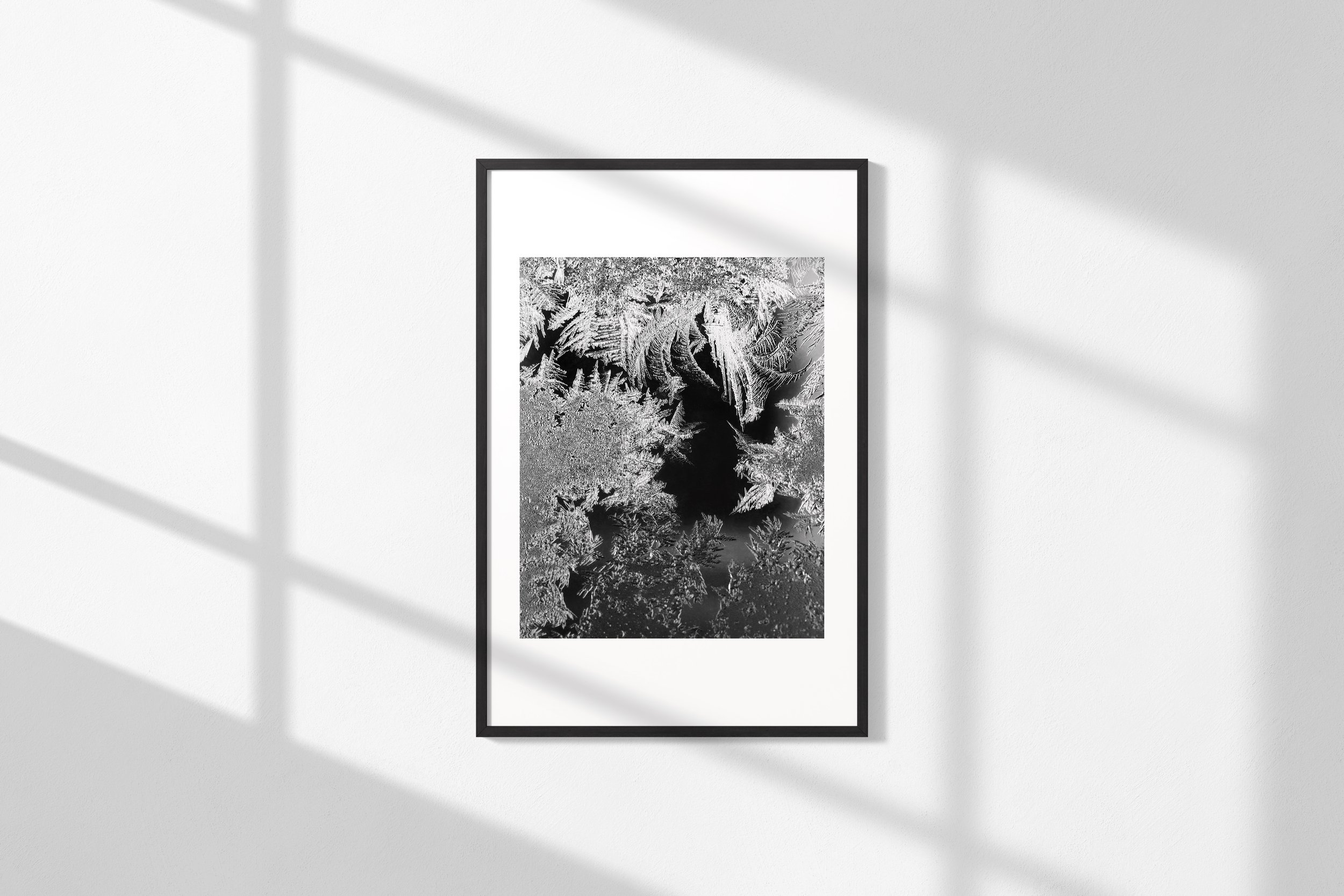 Frost Study II_Frame.jpg