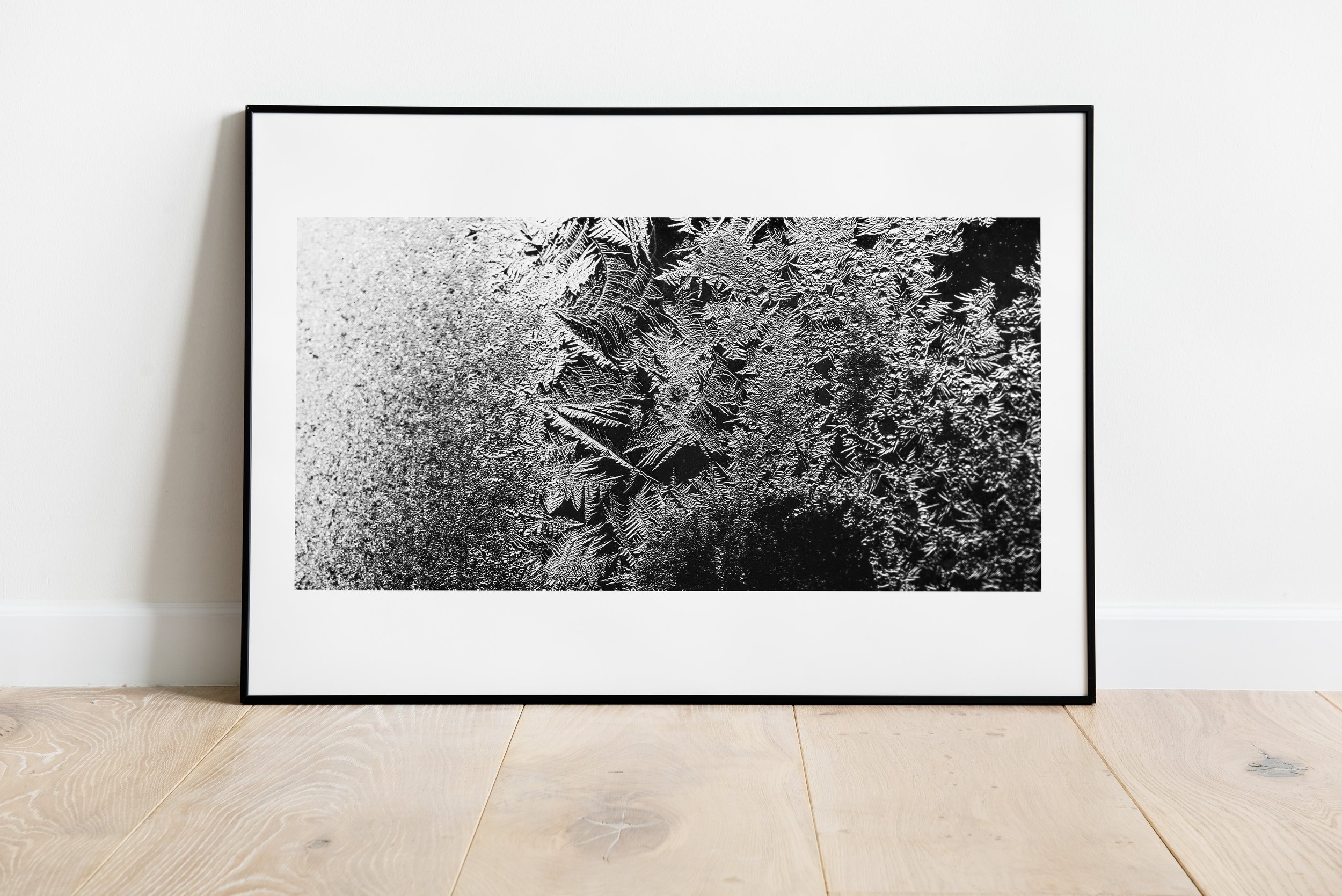 Frost Study III_Frame_2.jpg