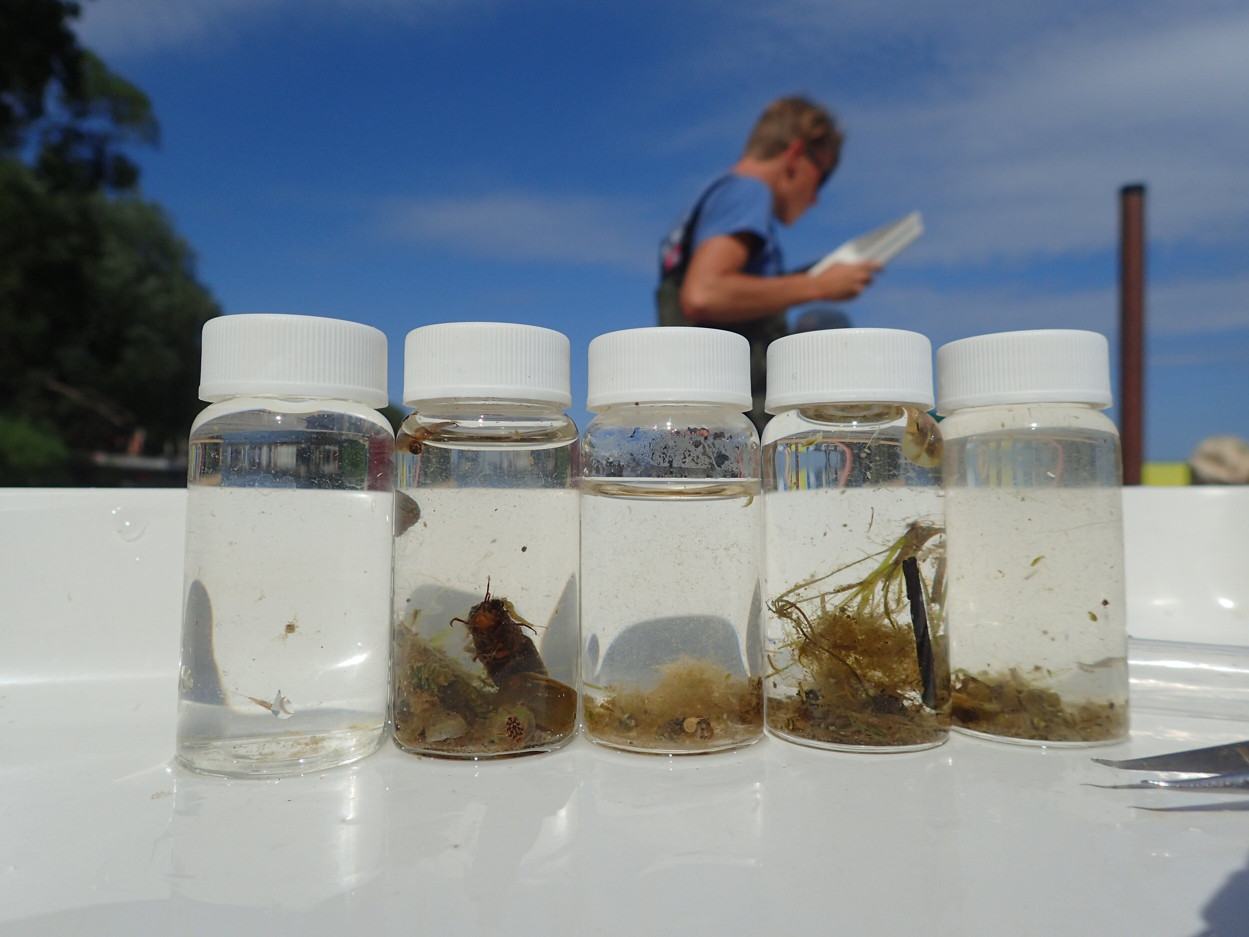 Fisheries Systems Ecology