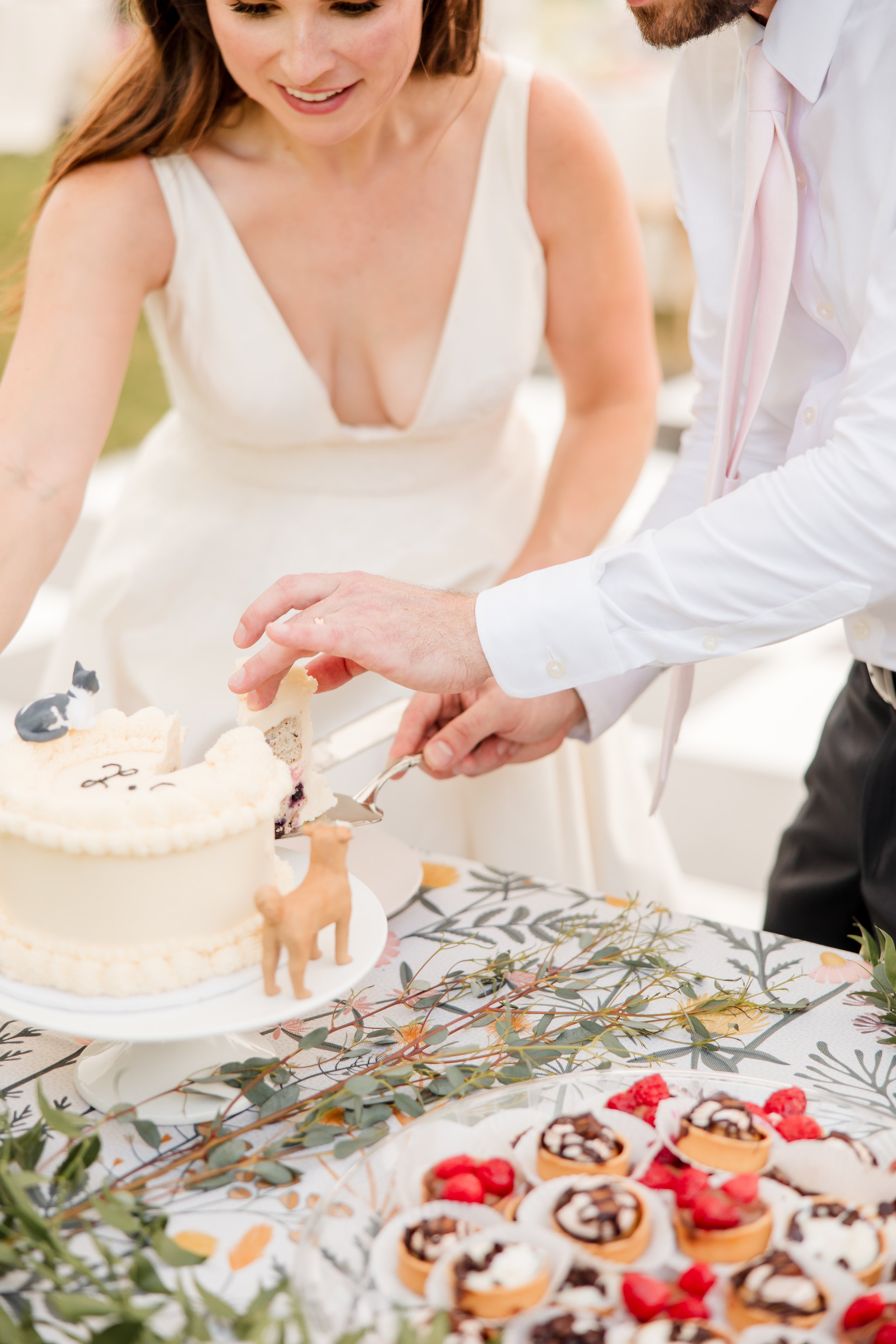 cake cutting moment