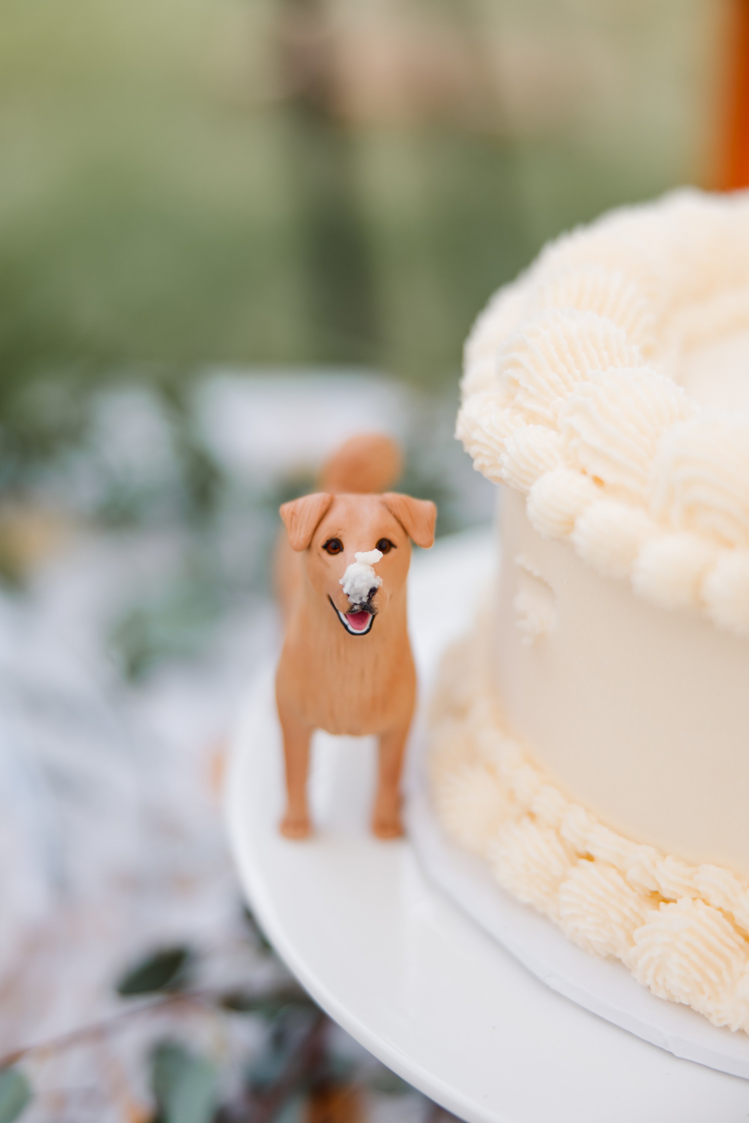 dog cake