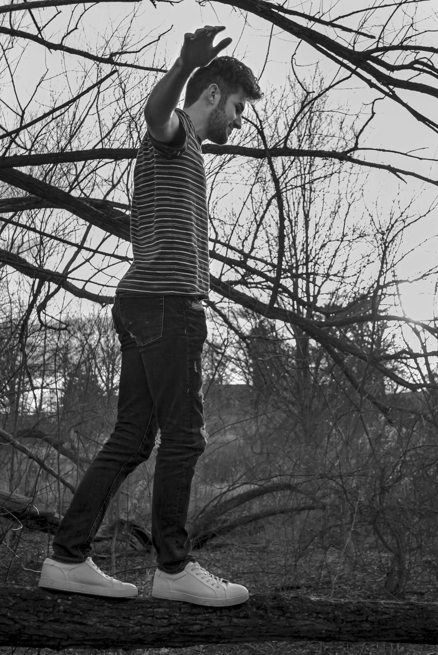 Portrait Study Three