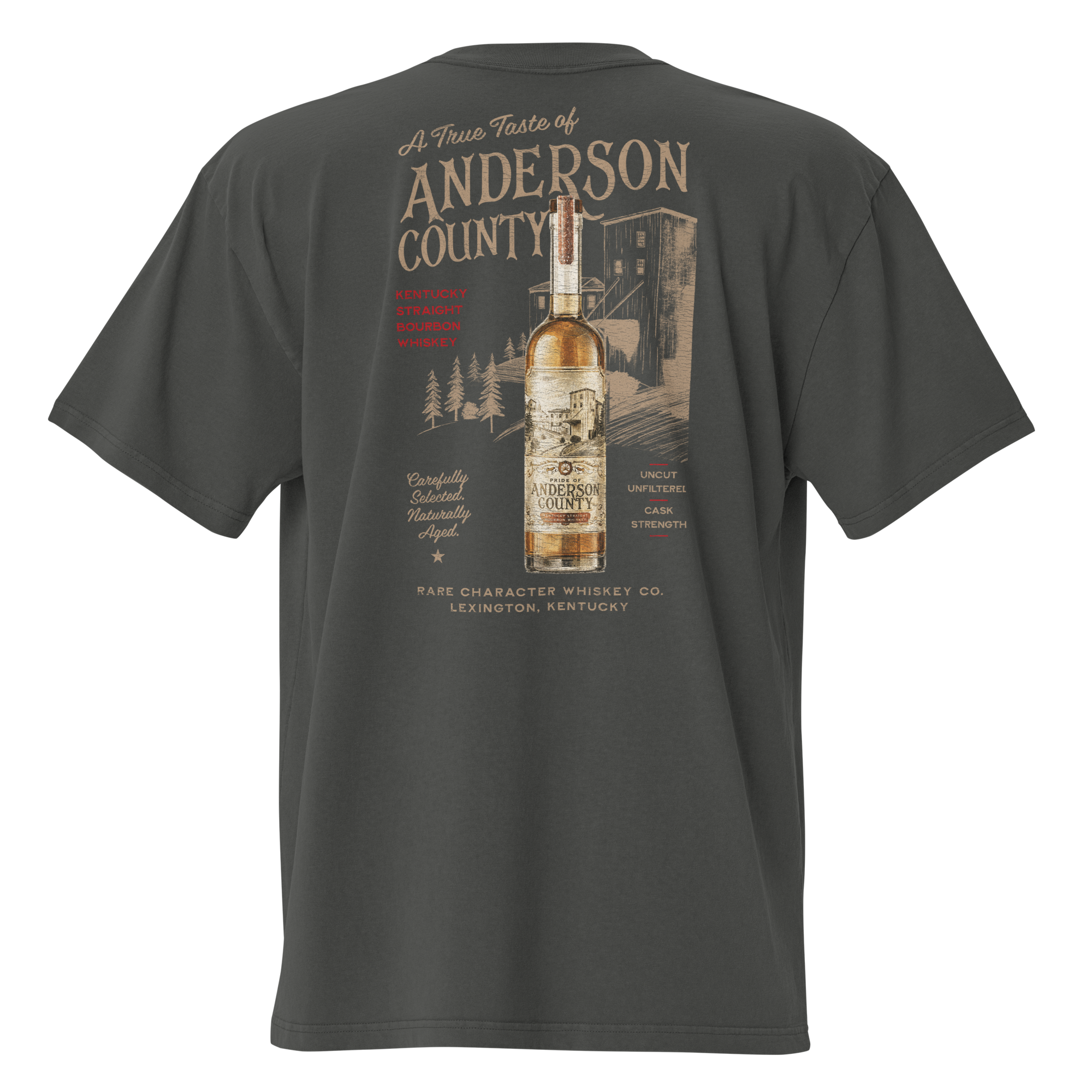 mens-oversized-faded-t-shirt-faded-coal-back-6aadcfadeb34f.png