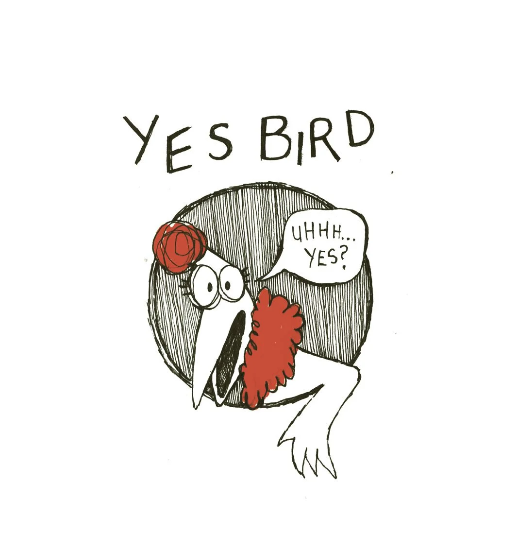 Yes Bird! -- A Graphic Novel