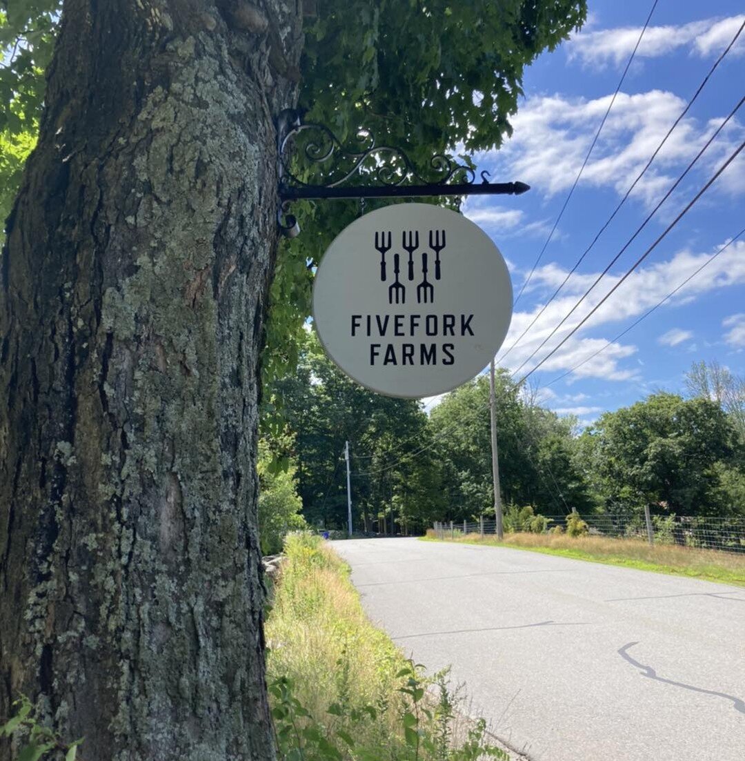 Happy Wednesday! The farm wives are off on an adventure this week. We are at the Association of Specialty Cut Flowers conference in Framingham Massachusetts. Today we have the privilege of touring Fivefork Farms . What an incredible group of flower f