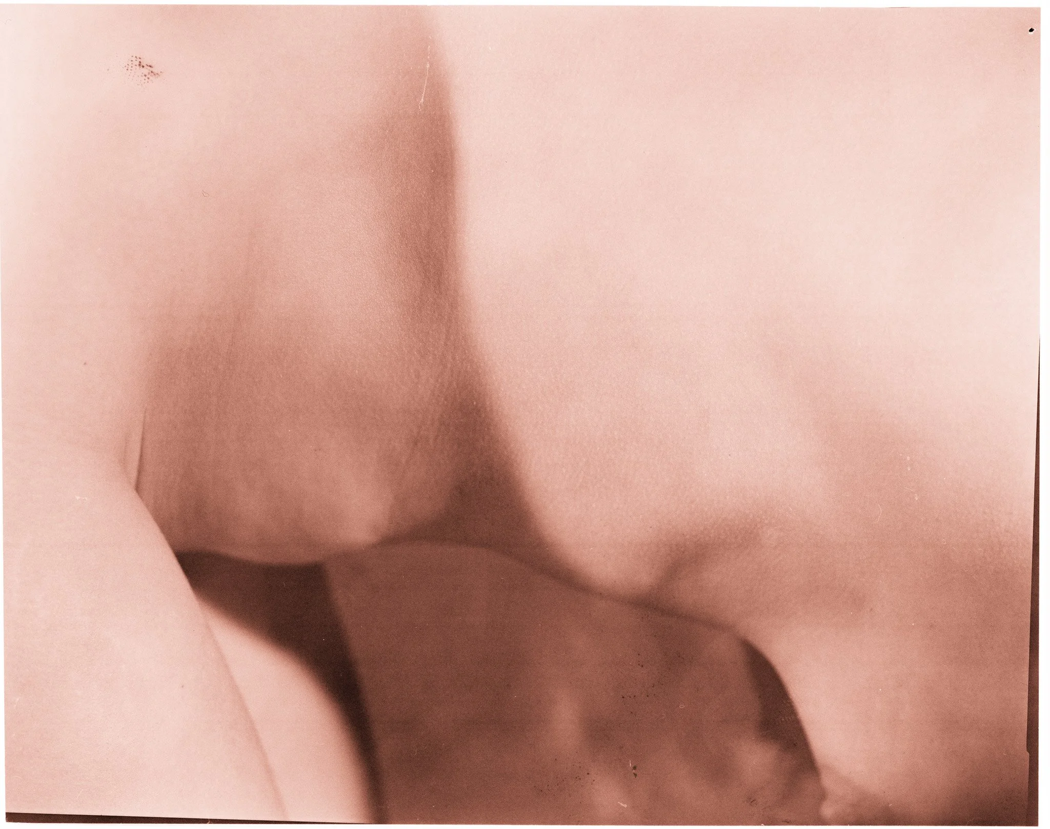 BodyScan-16.jpg