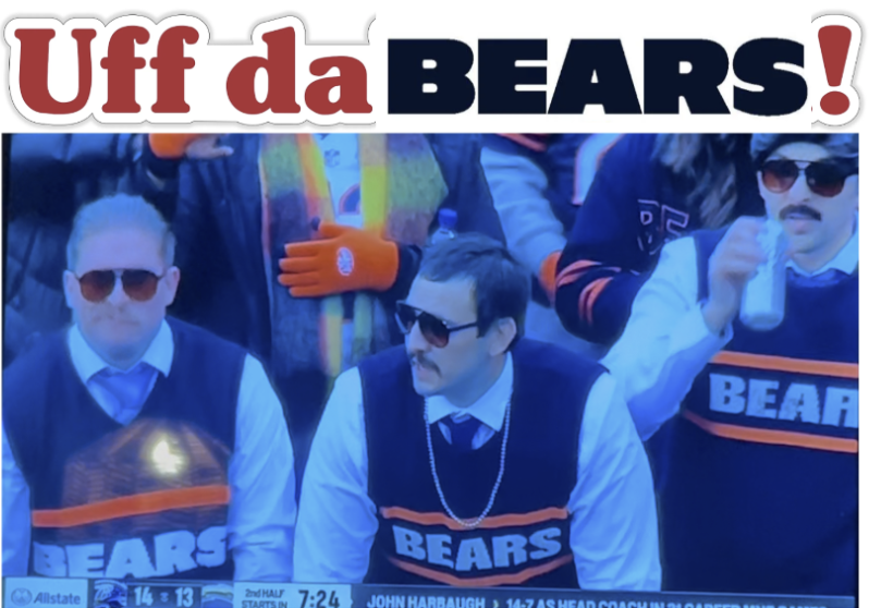 SKÖLIOSIS WEEK 12: Uff Da Bears!— Vikings 30 Bears 27