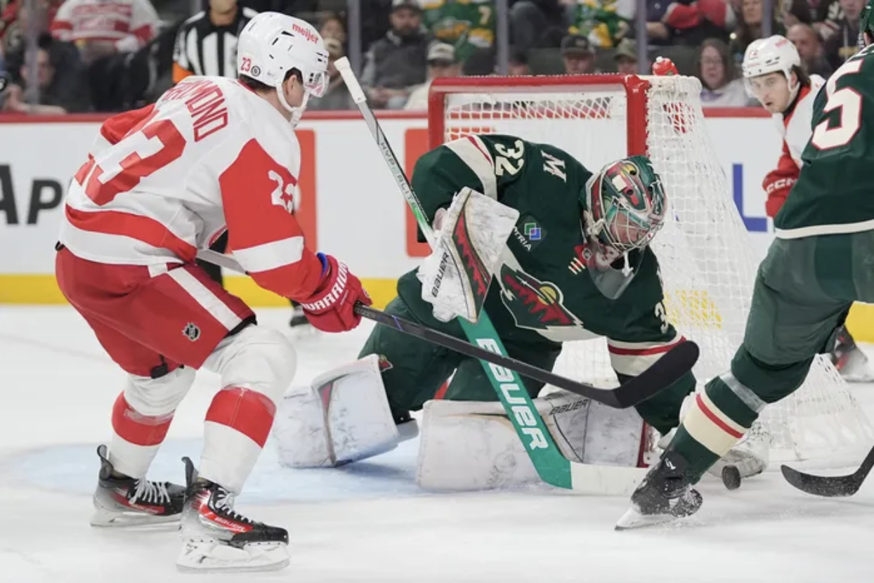 Is The Wild’s Cushion Big Enough? | Wild Wednesday
