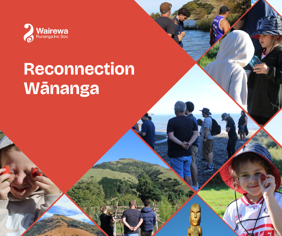 Reconnection Wānanga