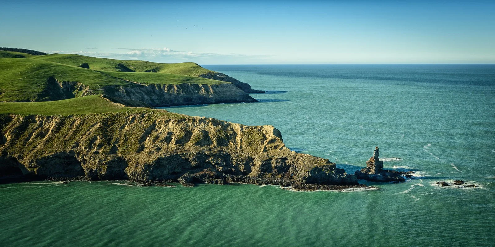 Te Kete AGM + Director Election