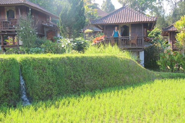 villa-sawah.jpg