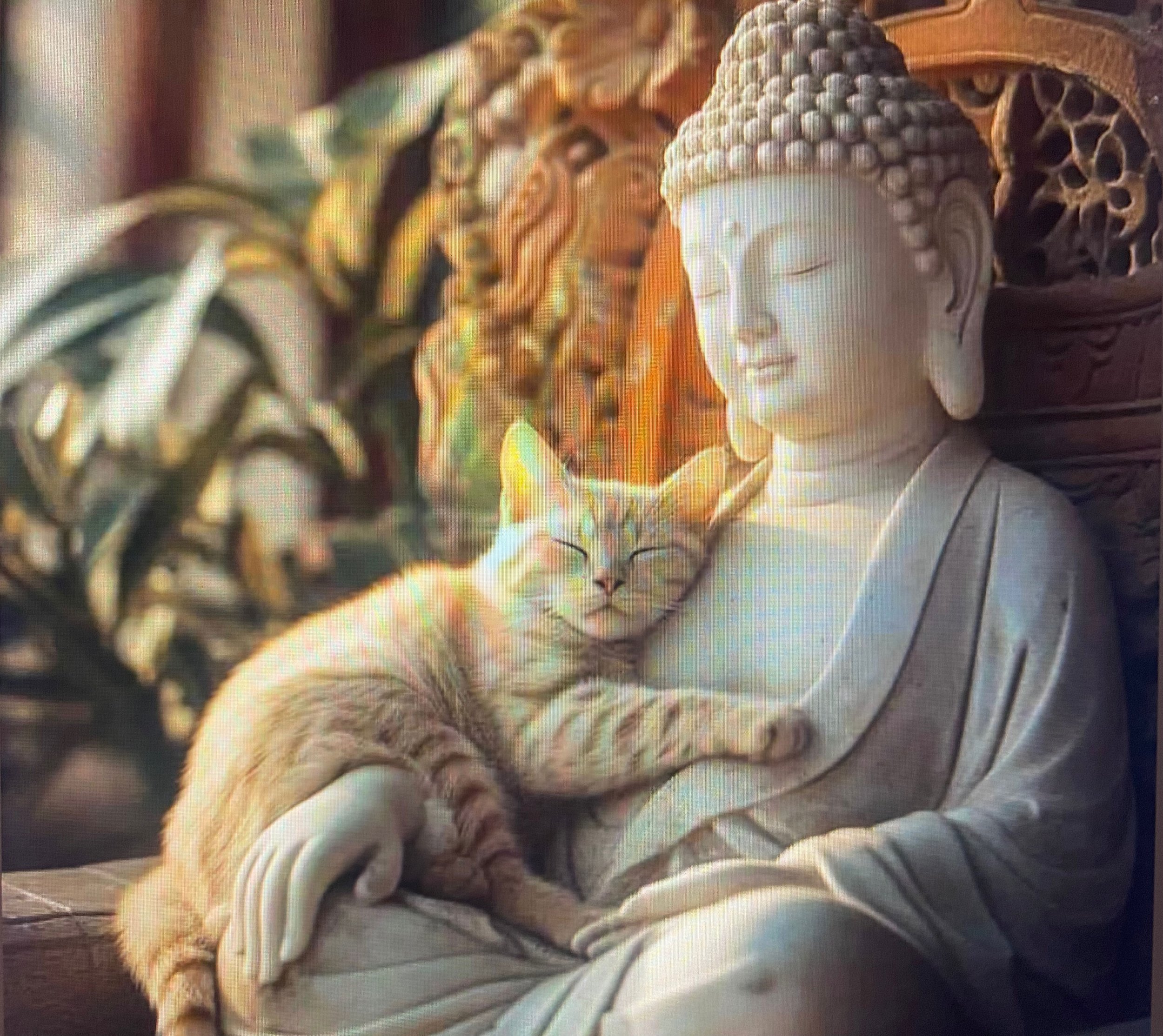 buddha-statue-and-cat.jpg