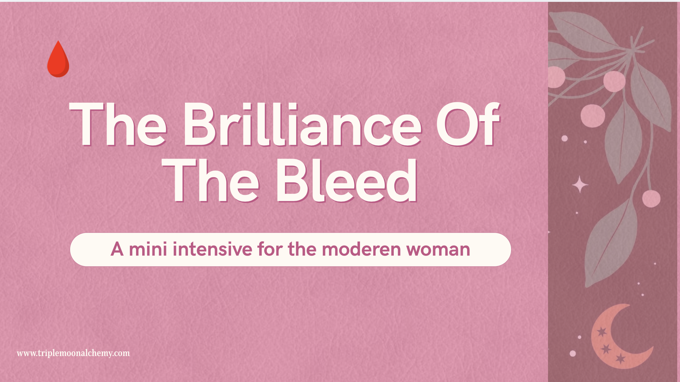 The Brilliance Of The Bleed Ebook : A Masterclass in Cycle Sovereignty