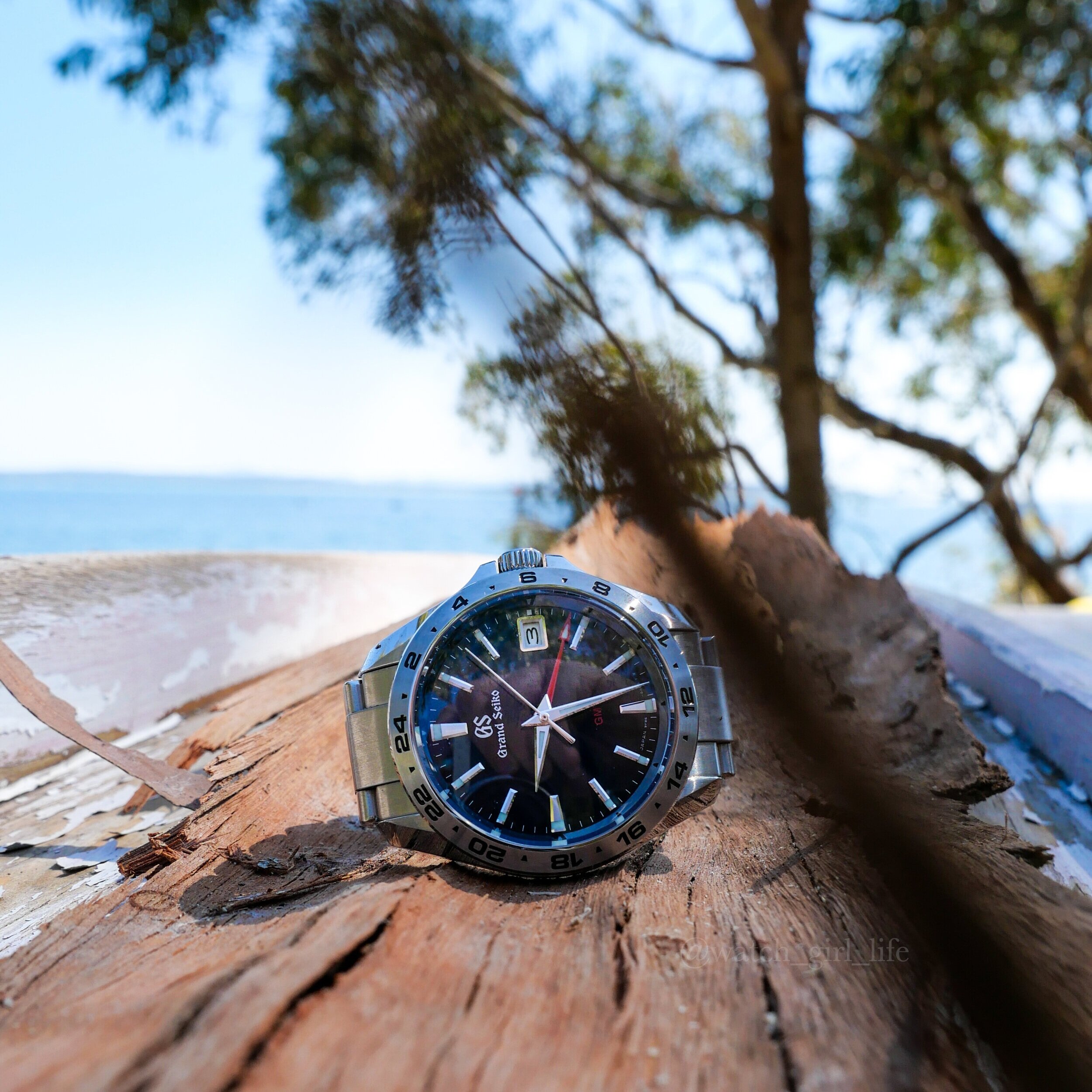 Grand Seiko GMT - SBGN005 — Behind the LUME!!