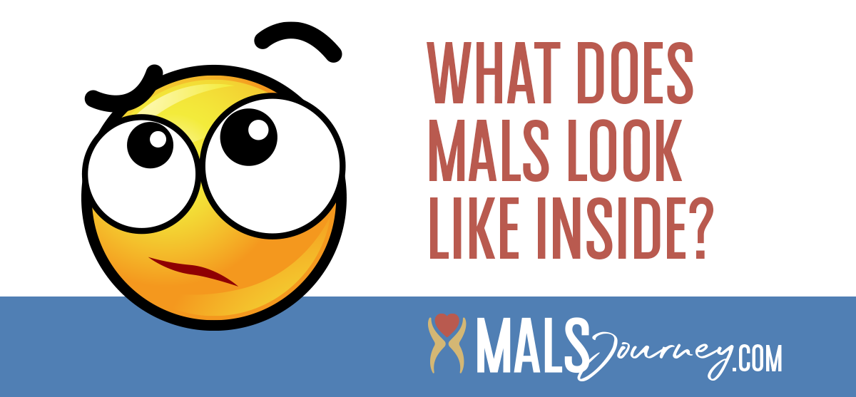 What does MALS look like on the inside?