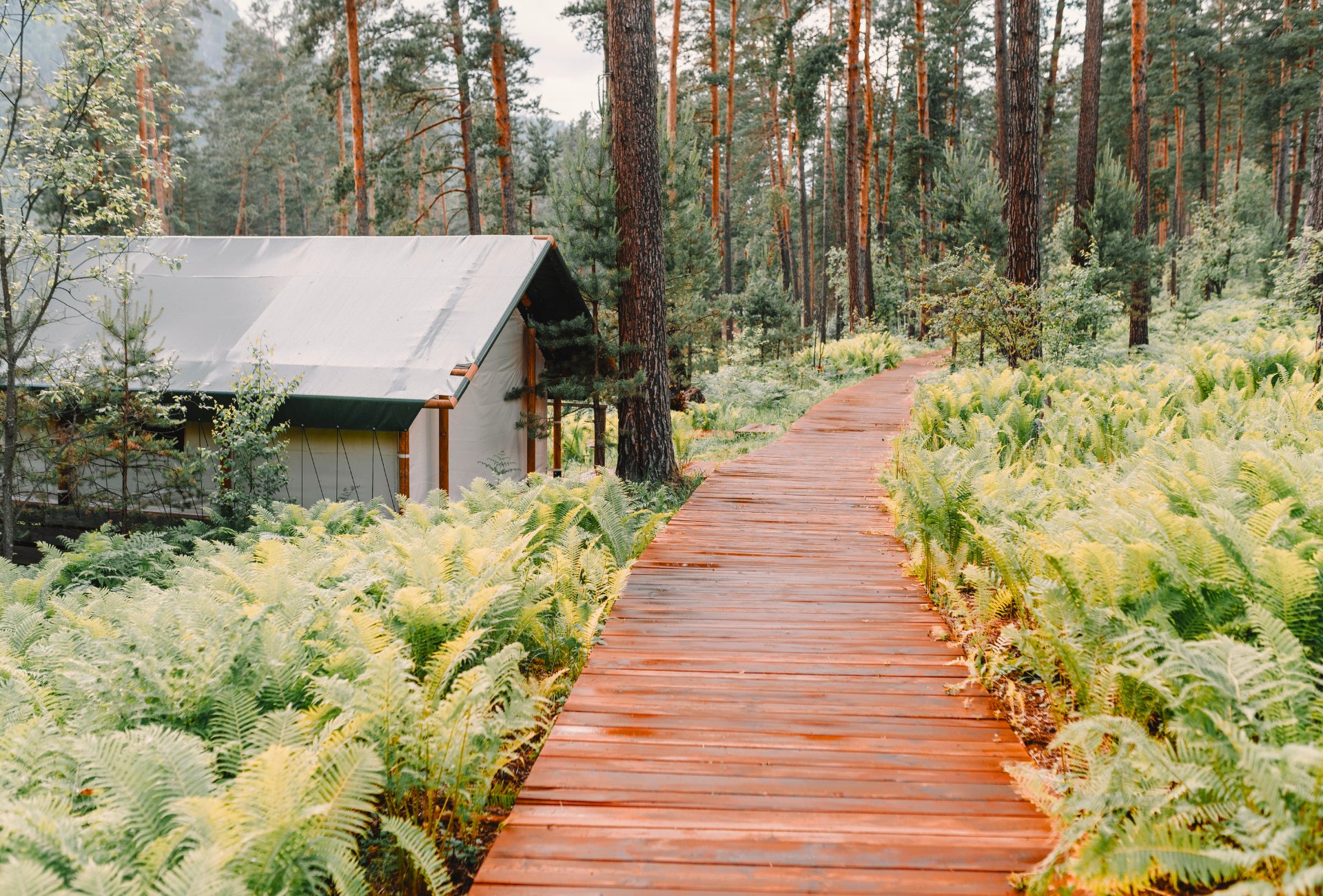 Property Strategy & Site Planning