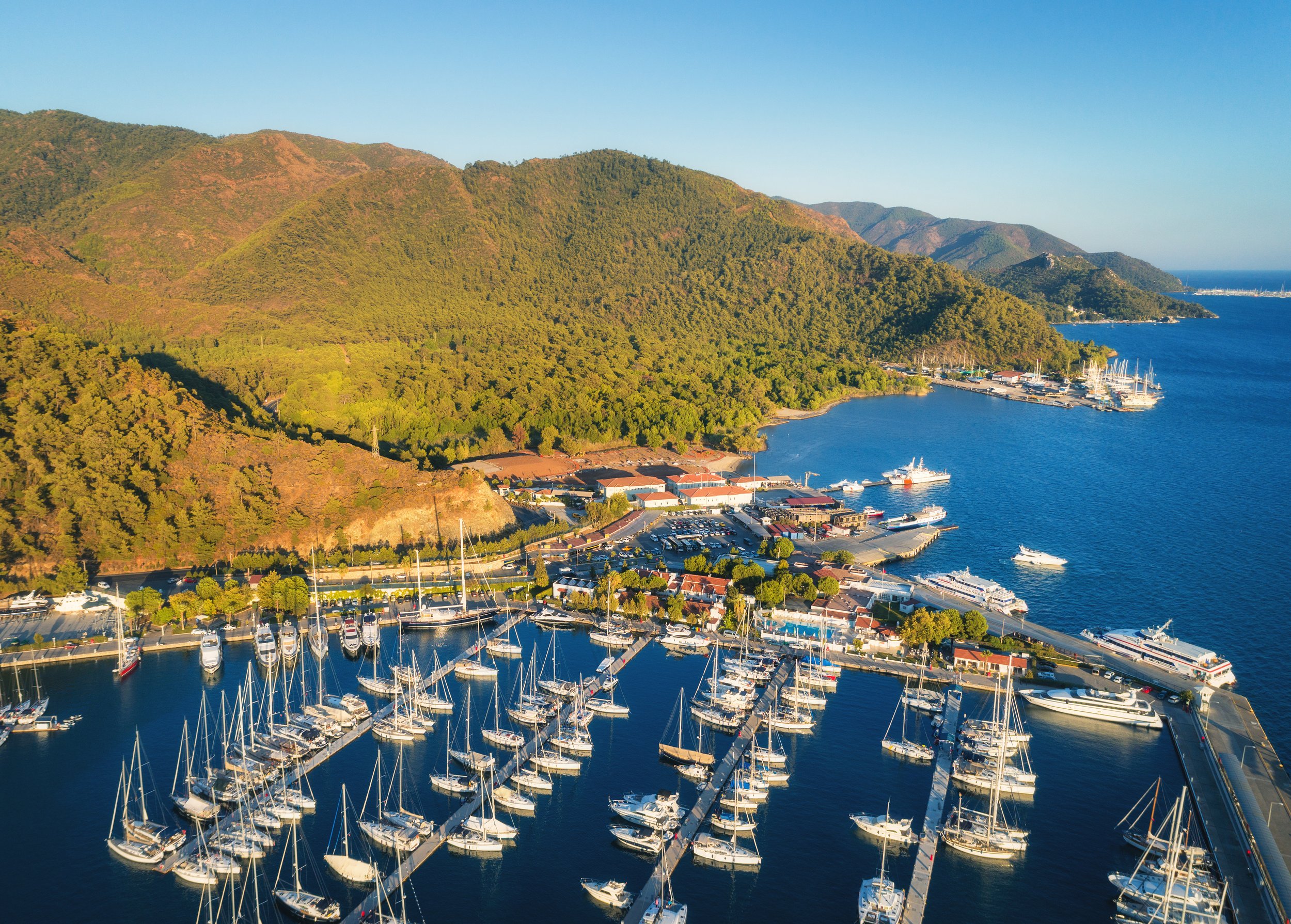 Operational Systems & Staff Flow