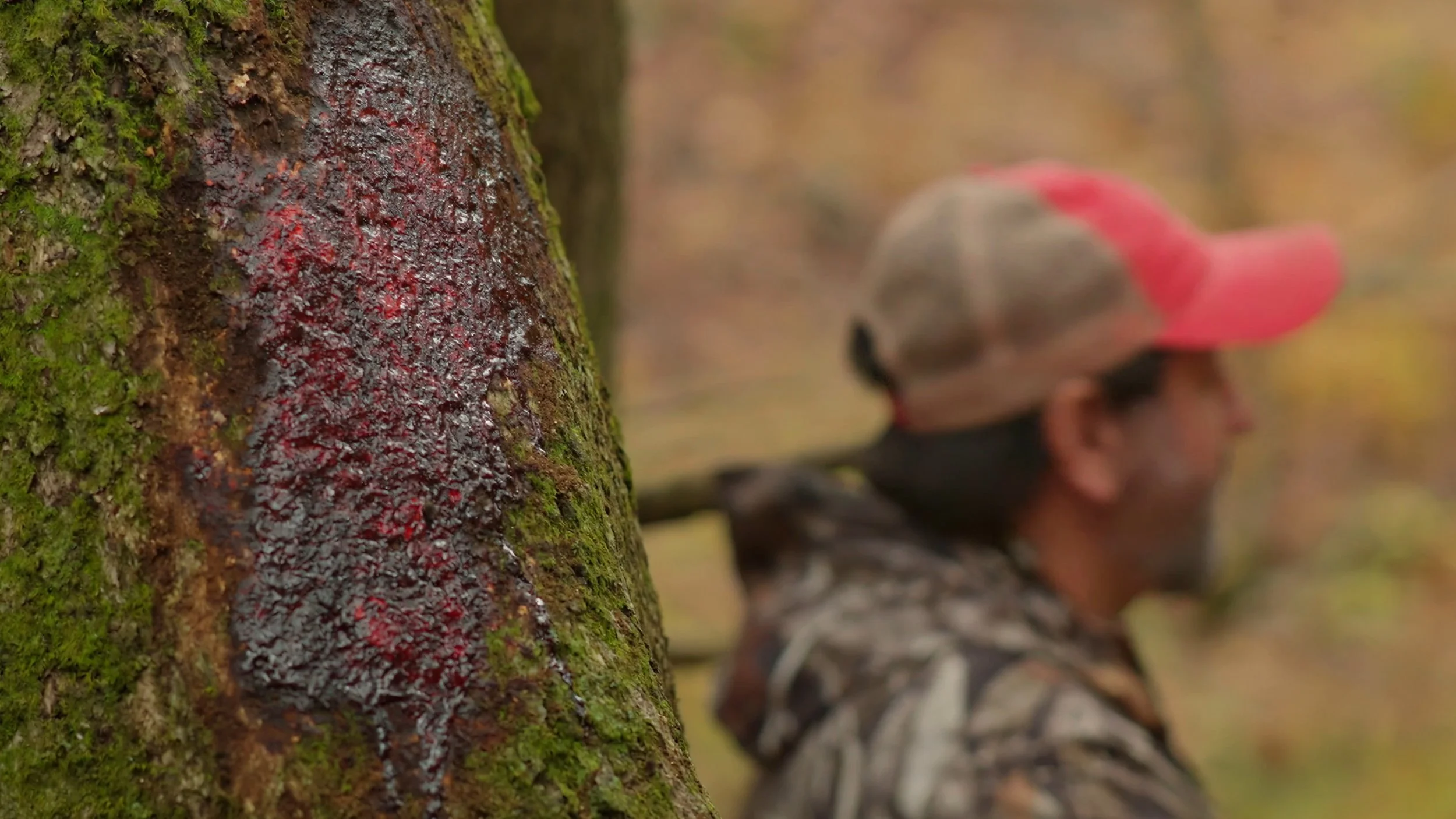 Still 2026-02-10 165911_3.1.3.jpg