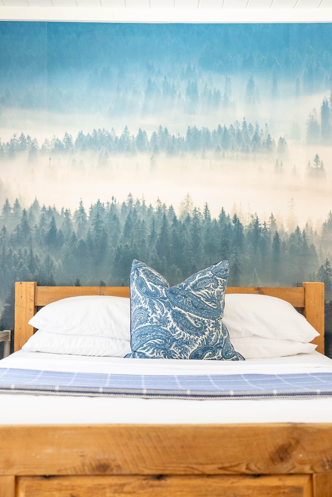 Today we're showing some love for our beautiful first floor suite, Blue Spruce. Here's a little more on what you'll experience with a stay in this cozy room.
ㅤ
A first-floor suite, Blue Spruce comfortably accommodates two guests, offering a queen bed