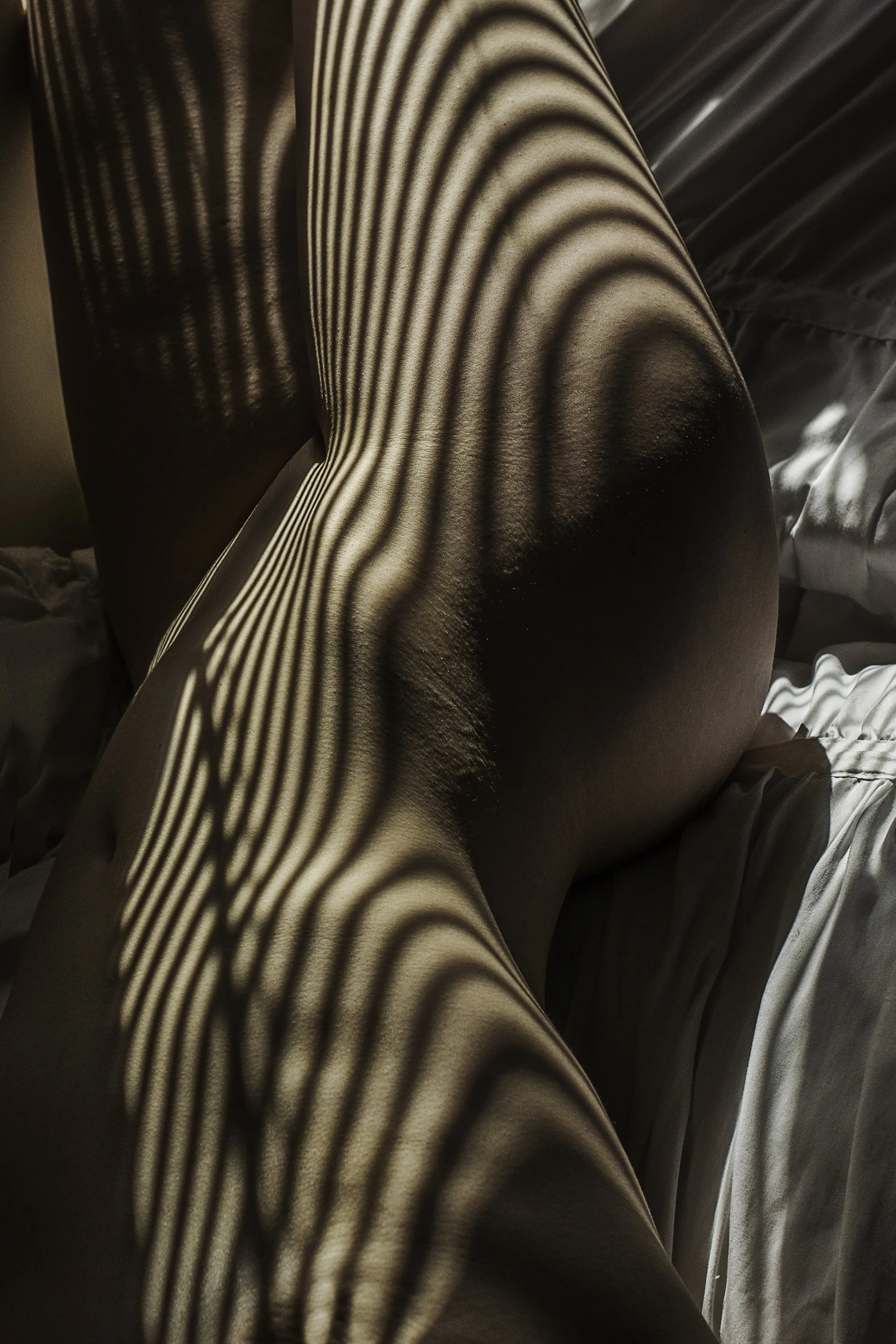 Sem8-Spring16-PwCrit4-WindowLight3 2.JPG