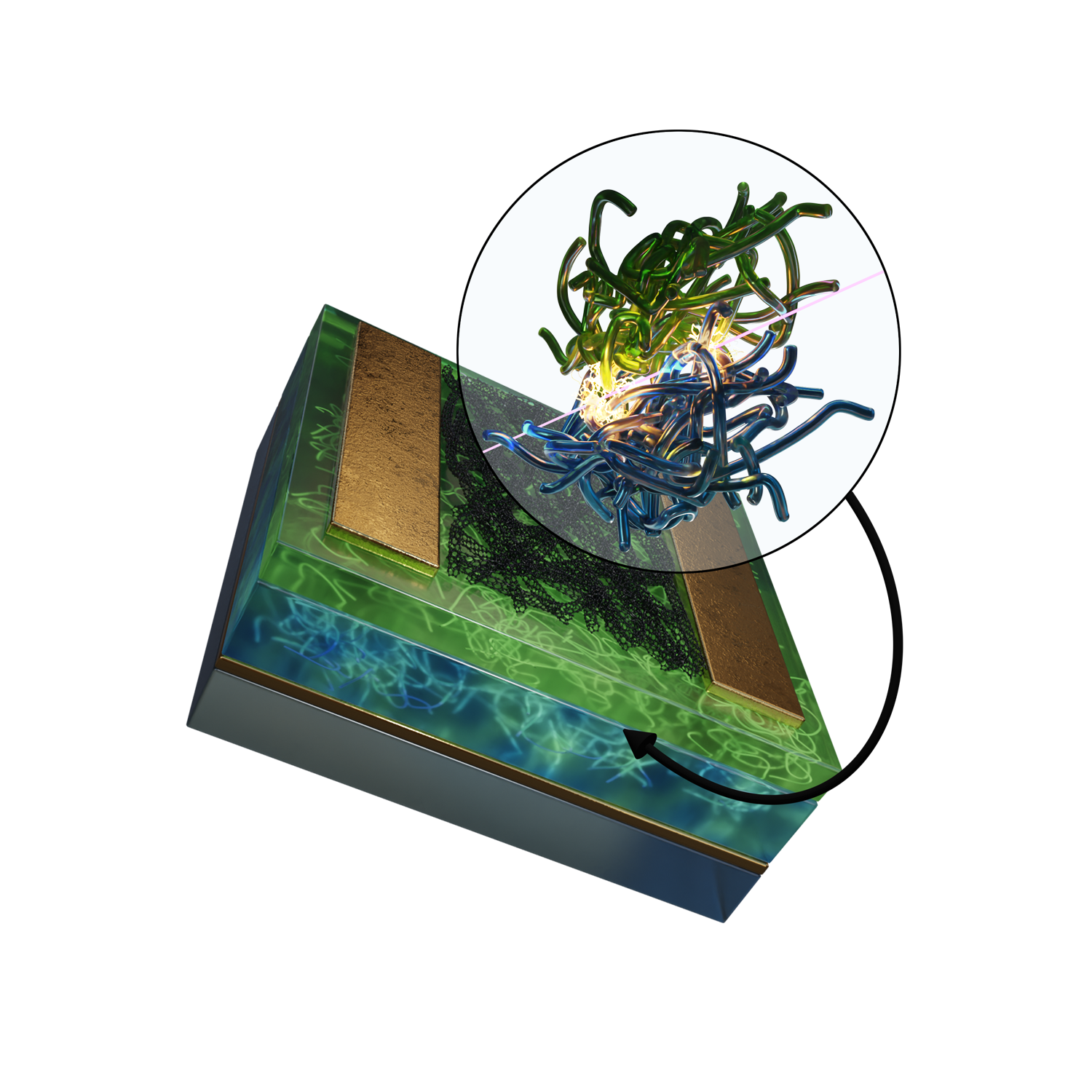 ACS AMI - 2023 - Tousignant TOC.png