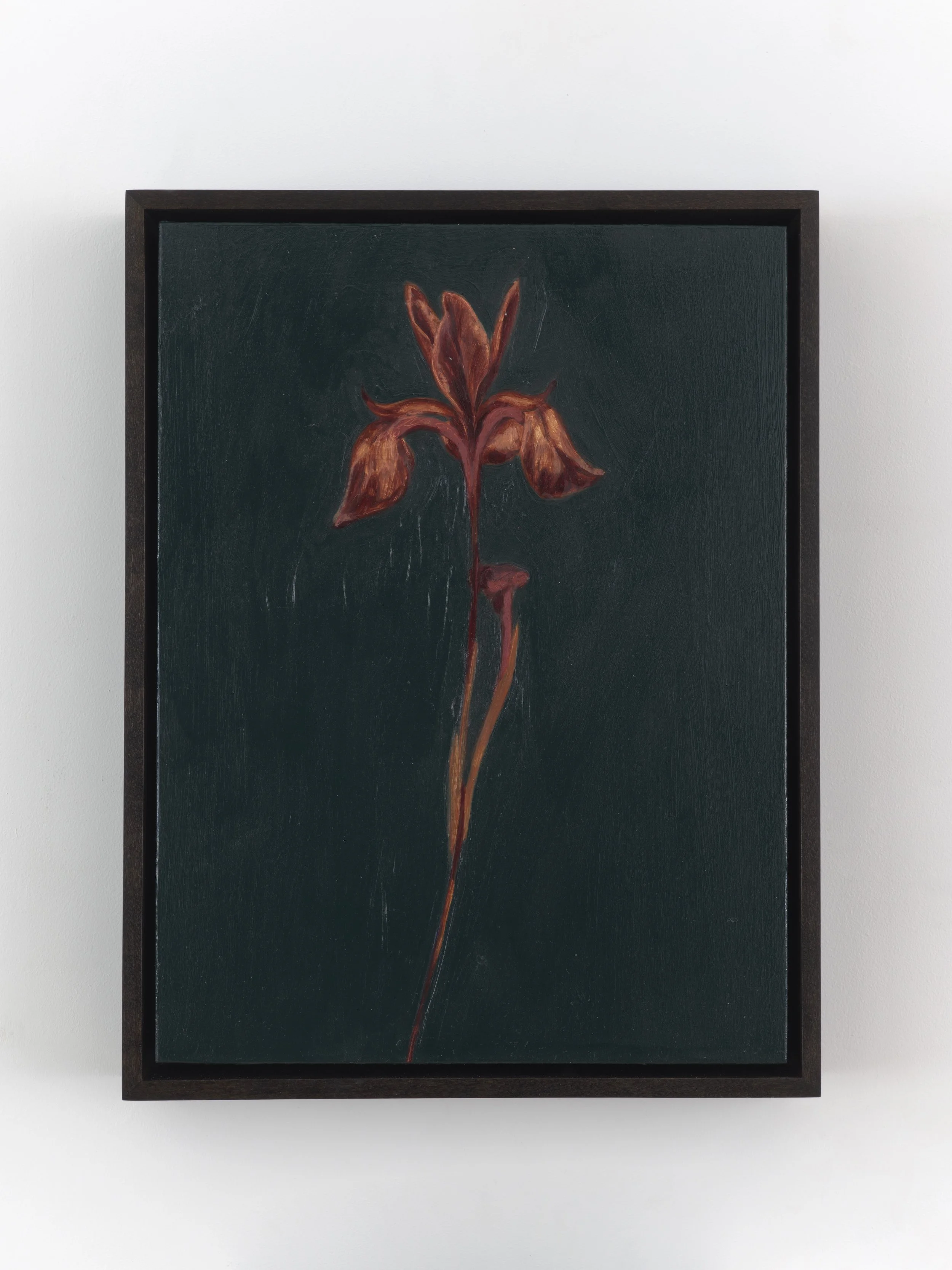 fathoms, 17, 2026, oil, oil pastel and pencil on panel, 9 x 12 inches