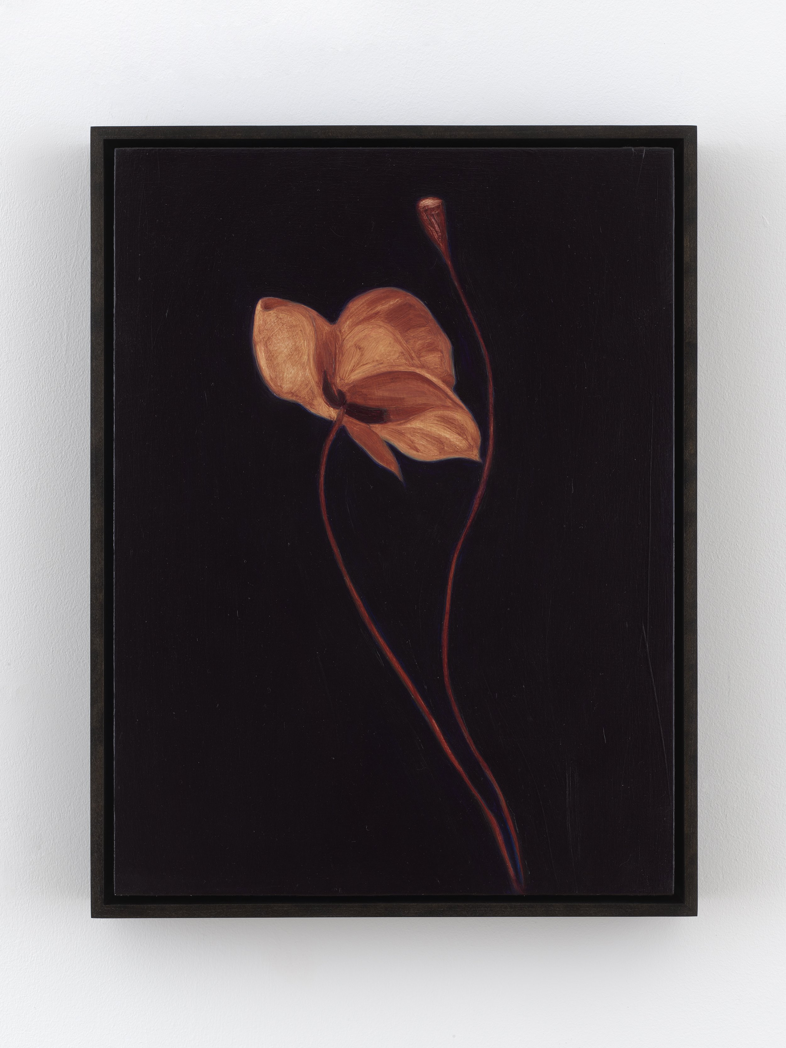 nights, Rome 4, 2026, oil on panel,  16 x 12 inches,
