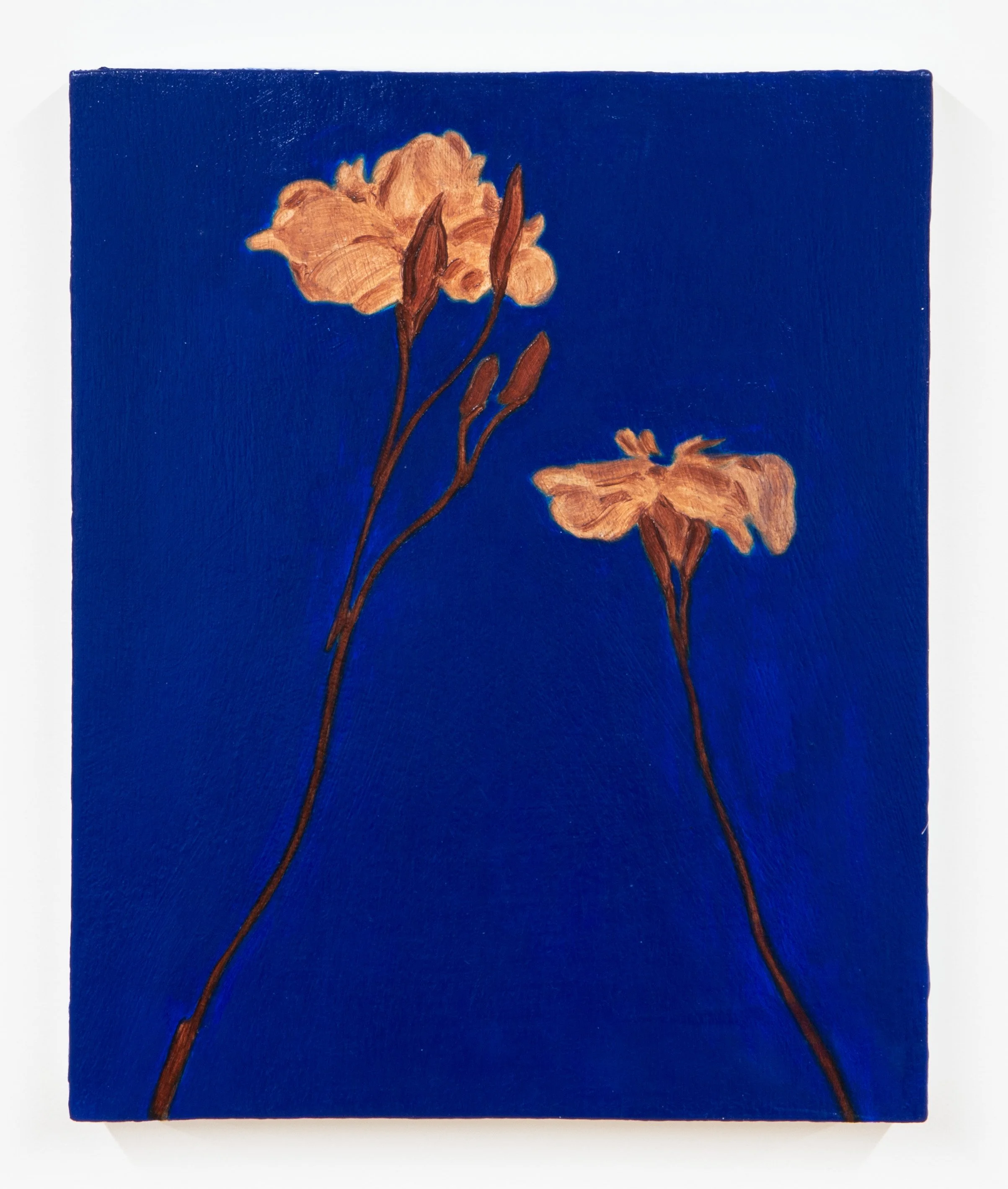 nights, 46, 2023, oil on panel, 10 x 8 inches