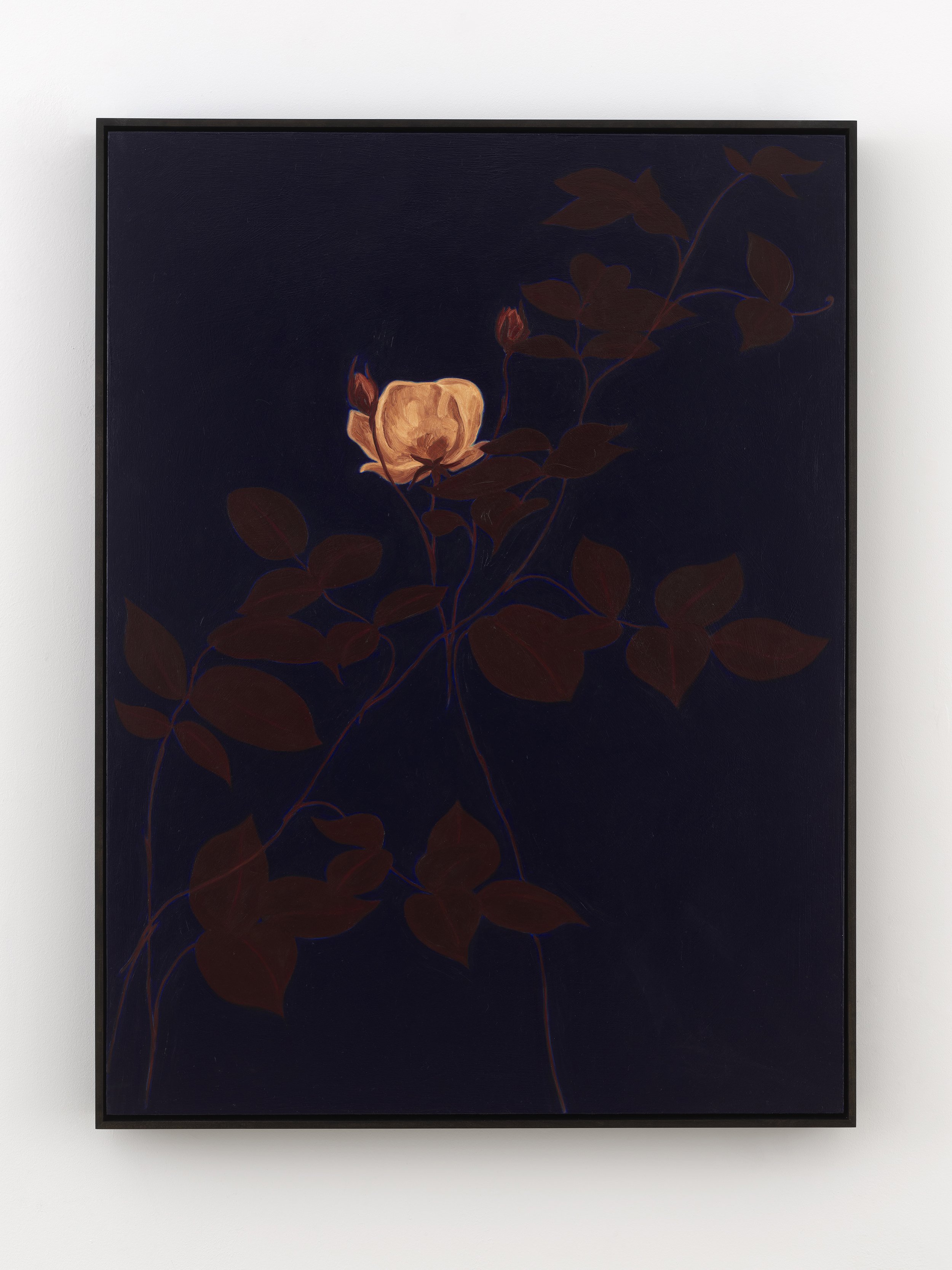 nights, 91 (version), 2025-2026, oil on panel, 48 x 36 inches

