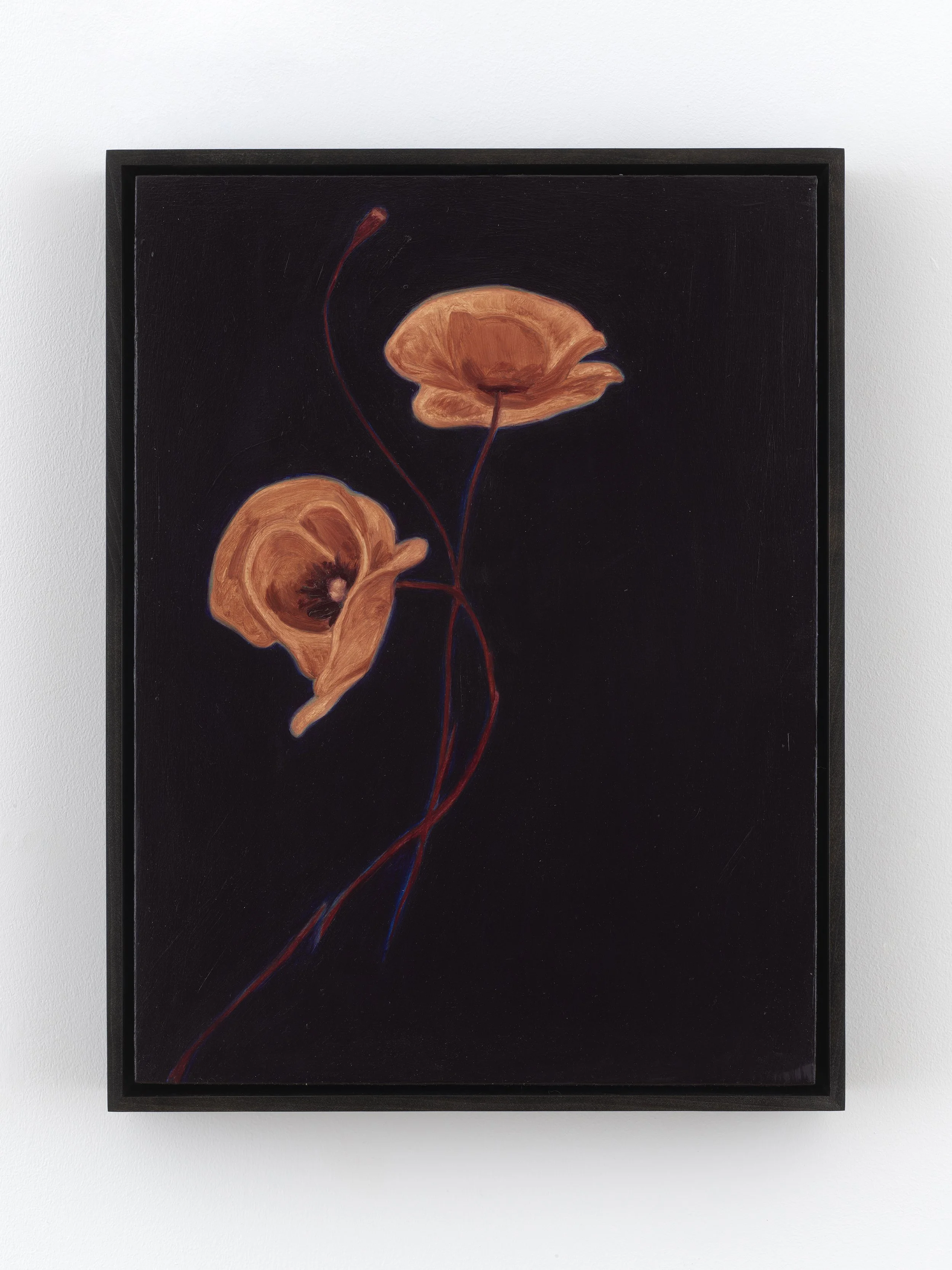 
nights, Rome 3, 2026, oil on panel, 16 x 12 inches
